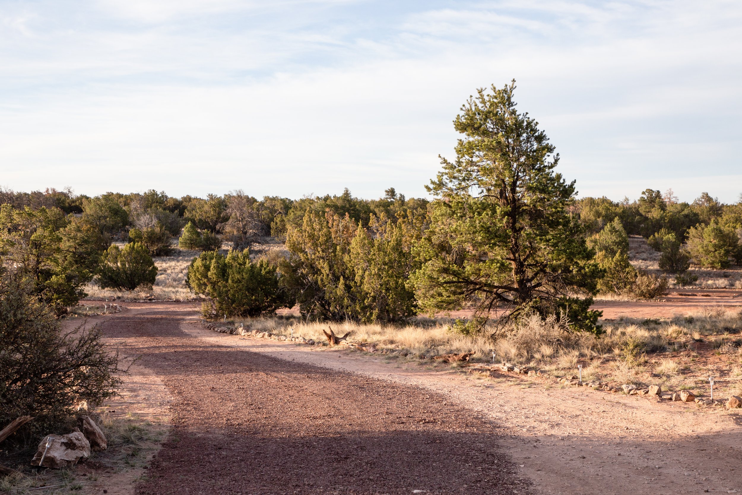 Wander Camp Final Photos-18.jpg