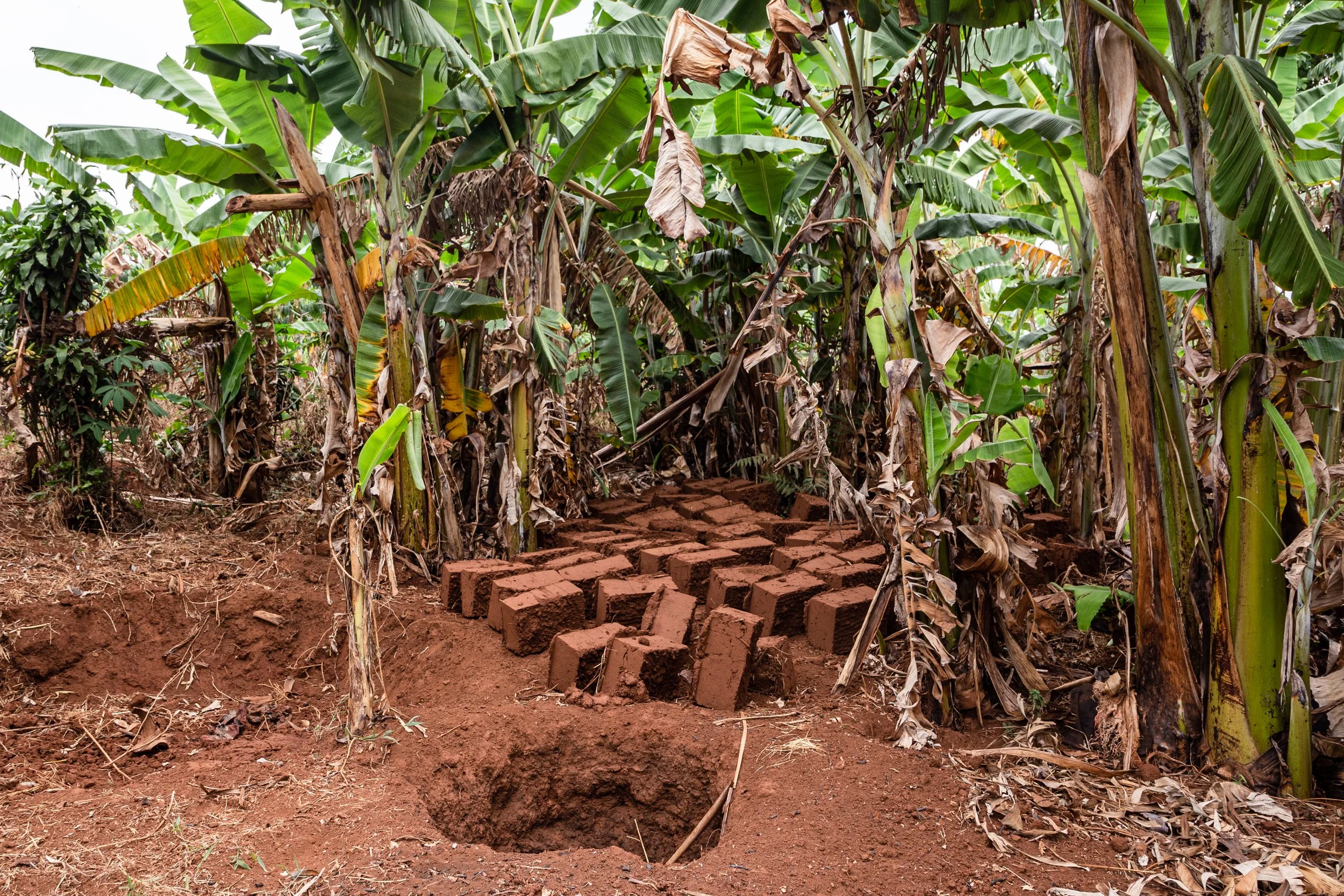 Burundi 2021 Round 2-11.jpg