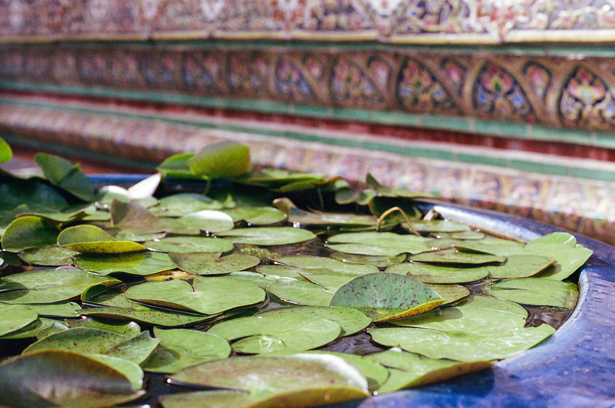Thailand-31.jpg