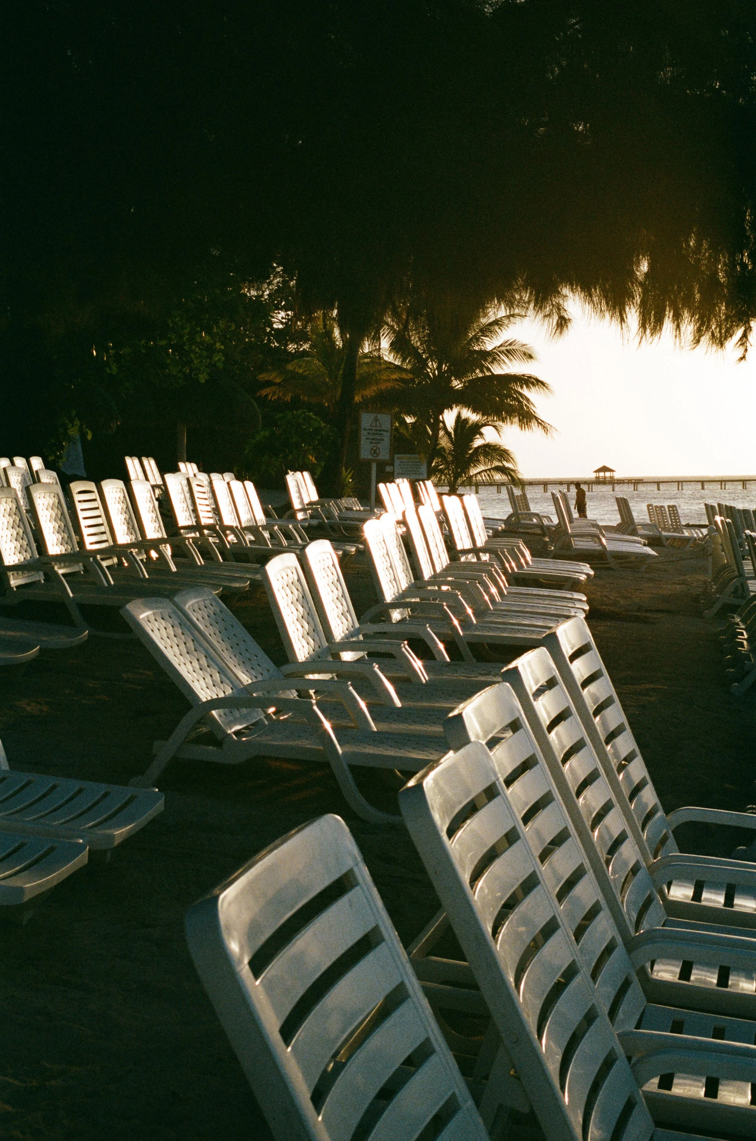 Roatan Website-4.jpg