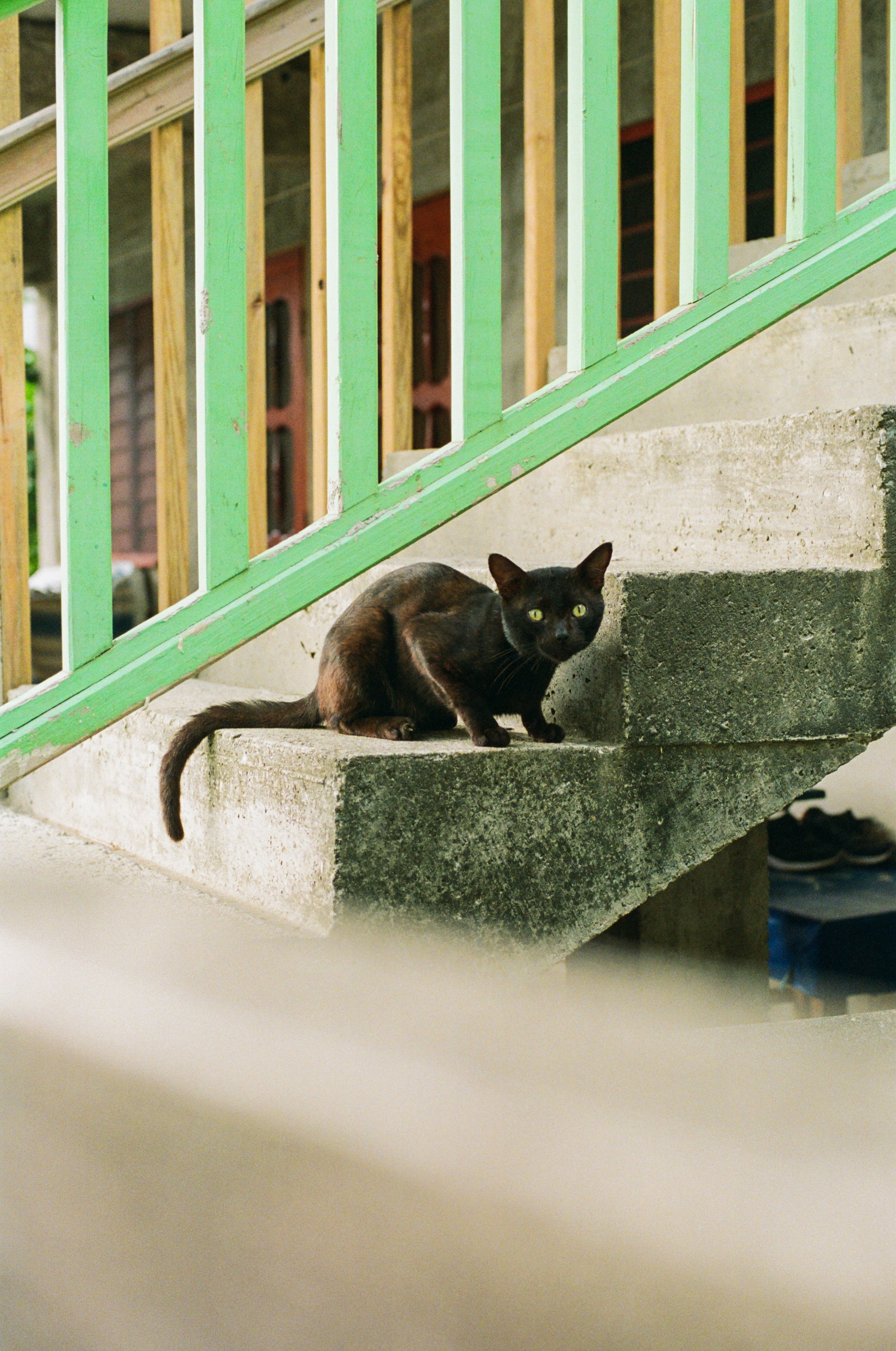 Roatan Website-20.jpg