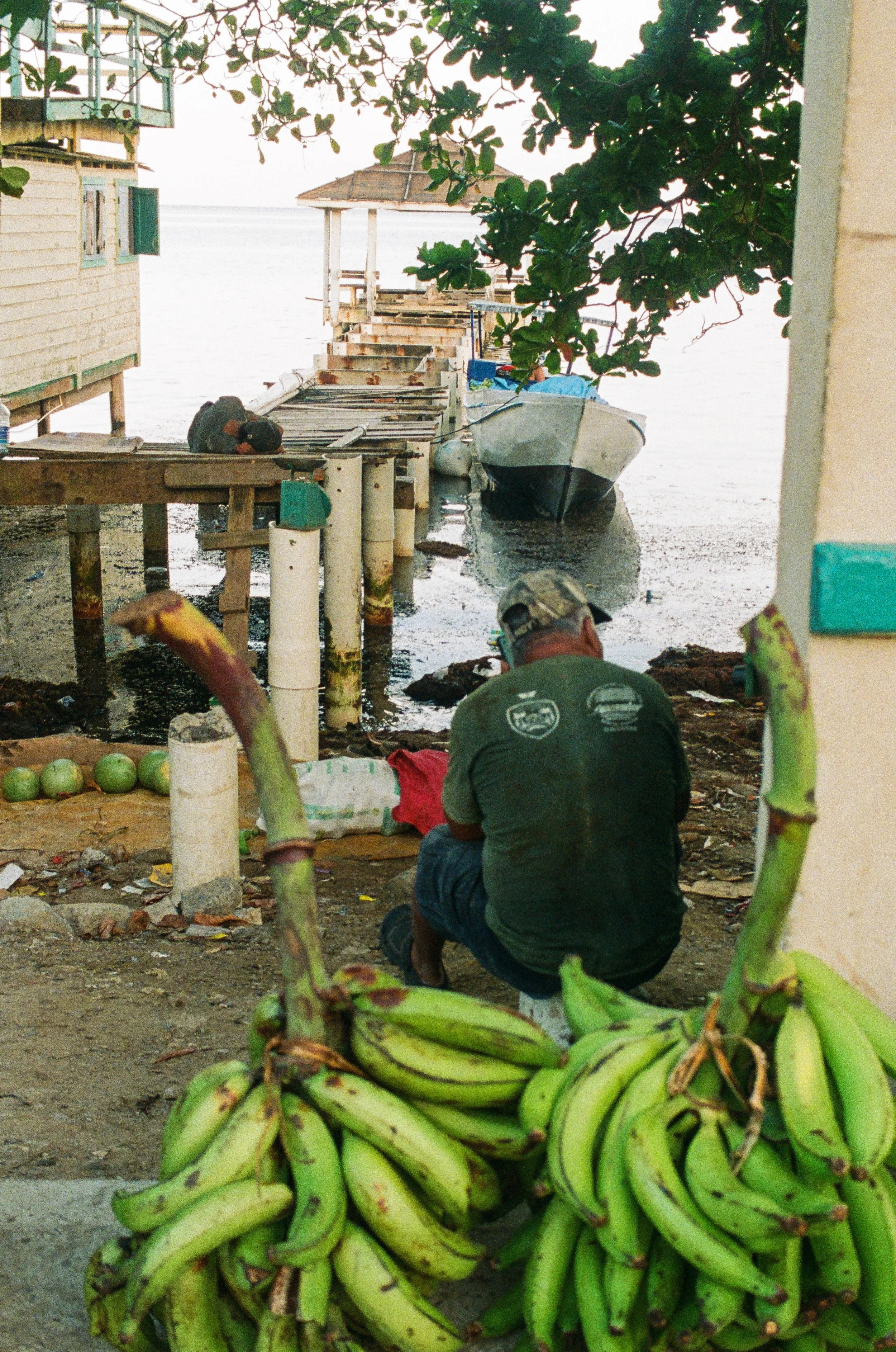 Roatan Website-23.jpg