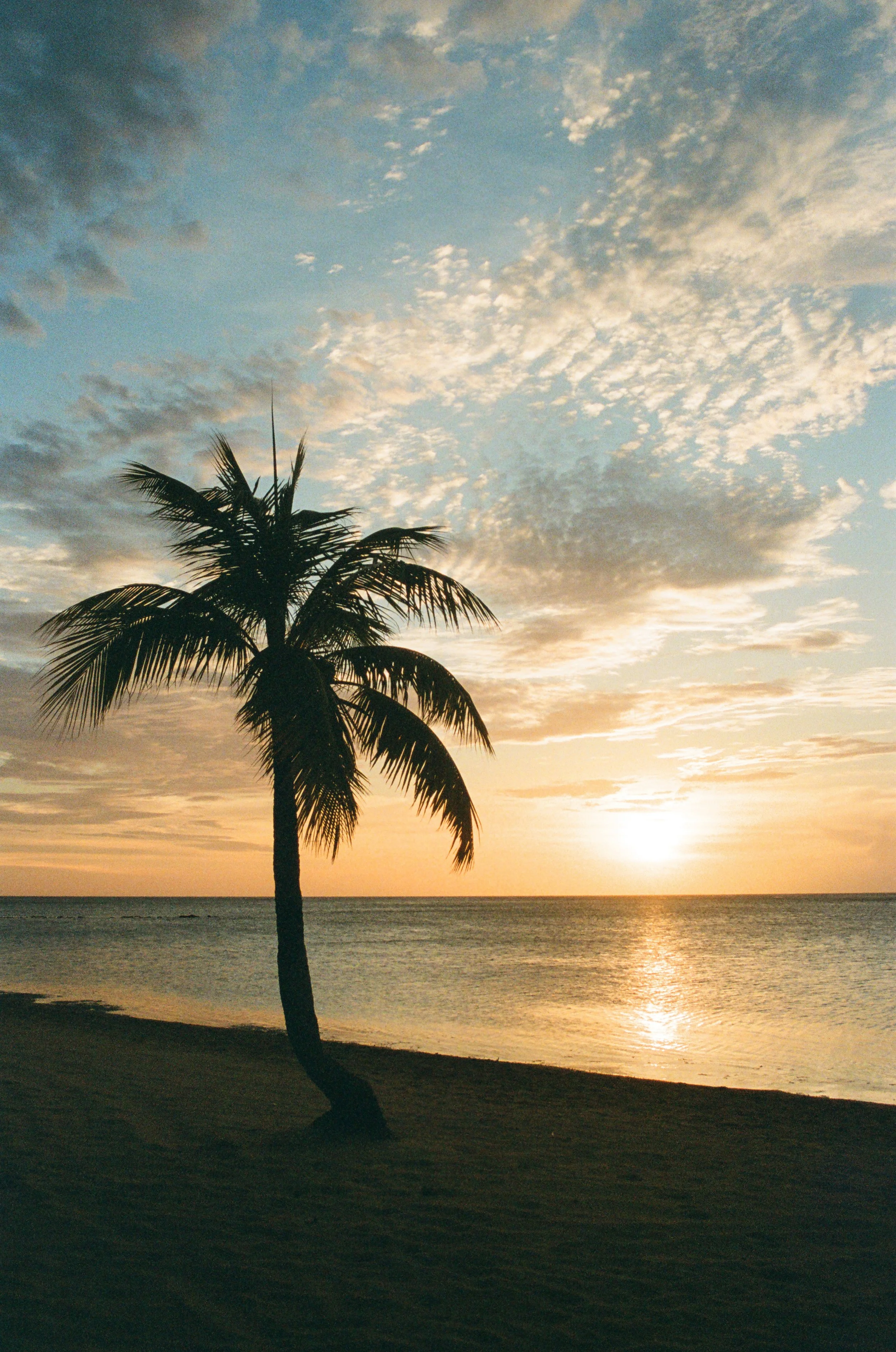 Roatan Website-27.jpg