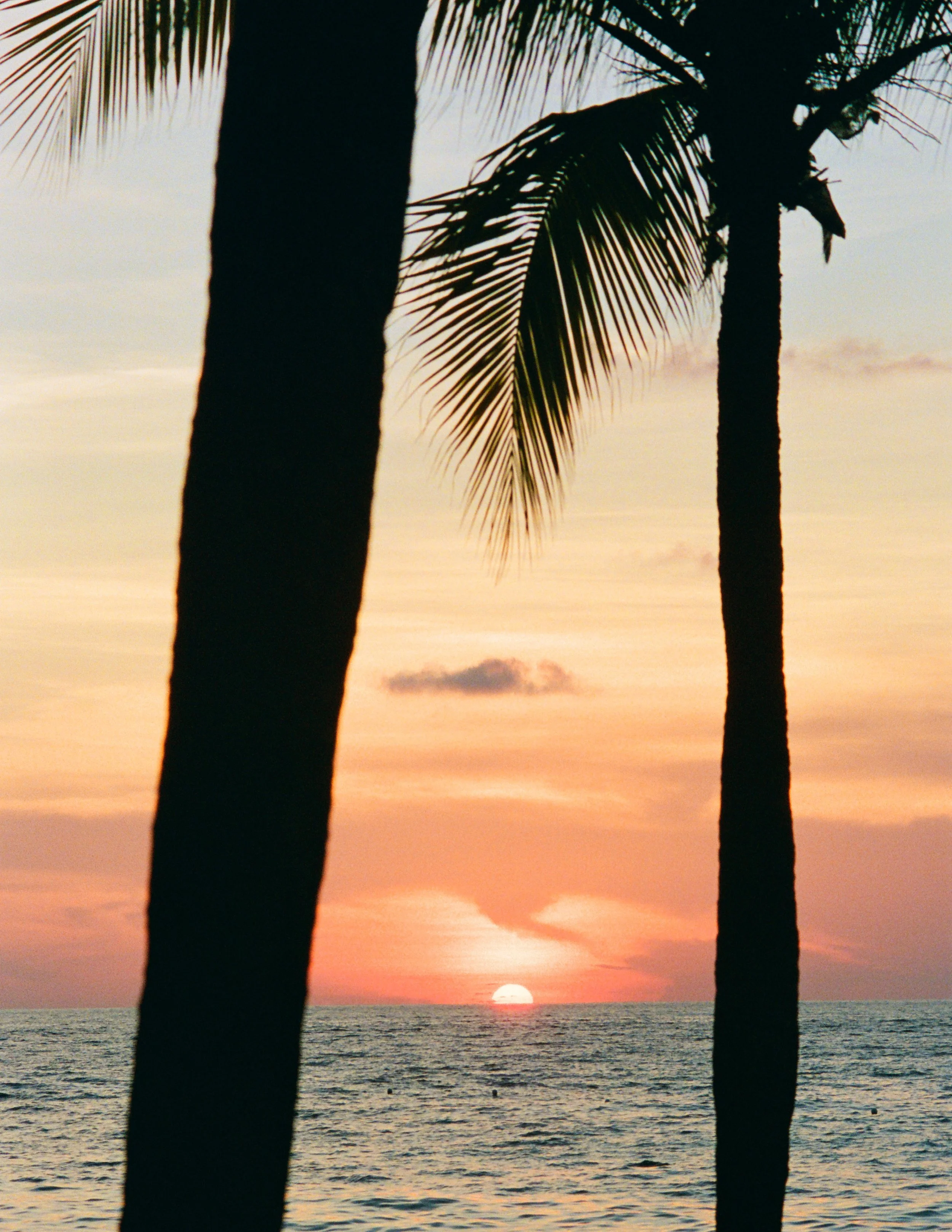 Roatan Website-34.jpg