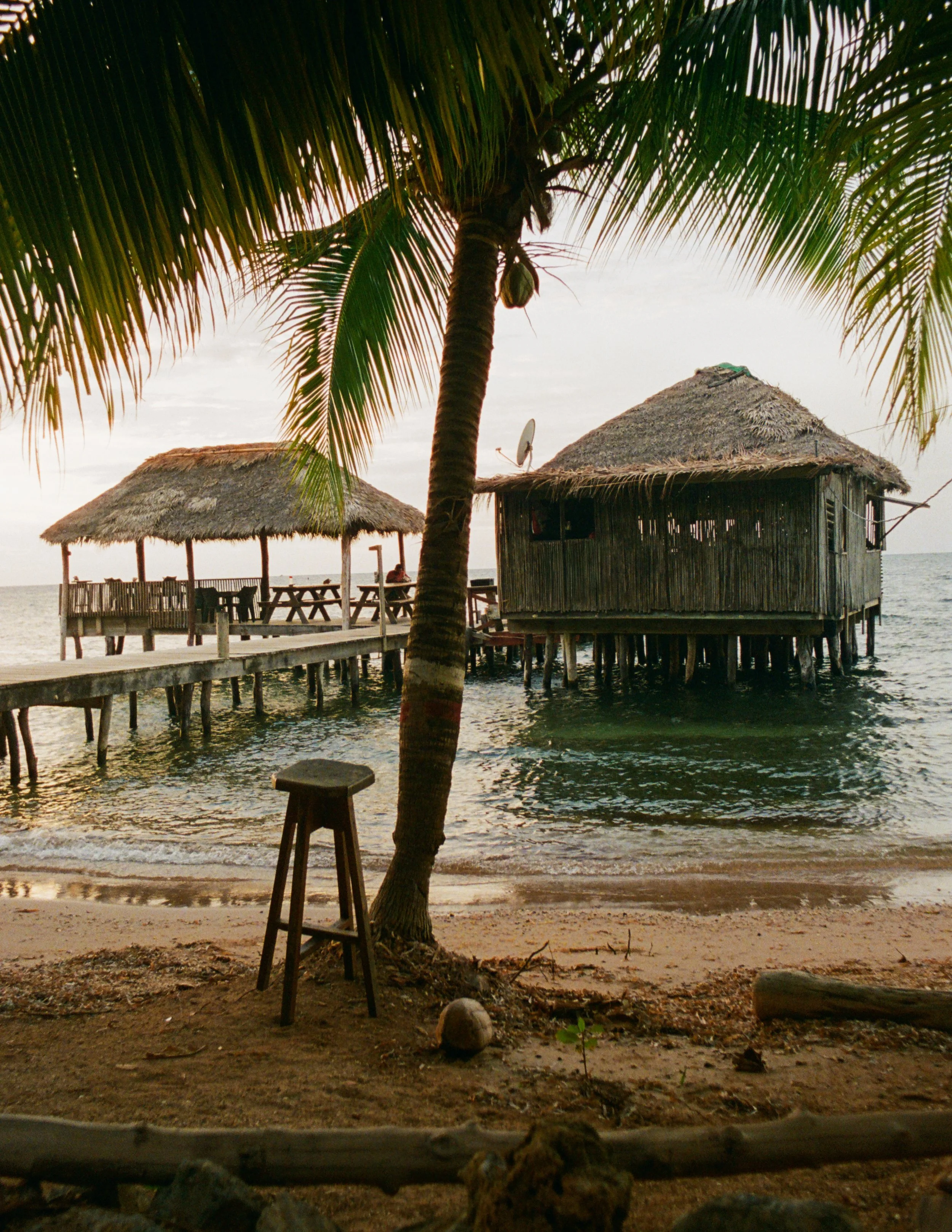 Roatan Website-35.jpg