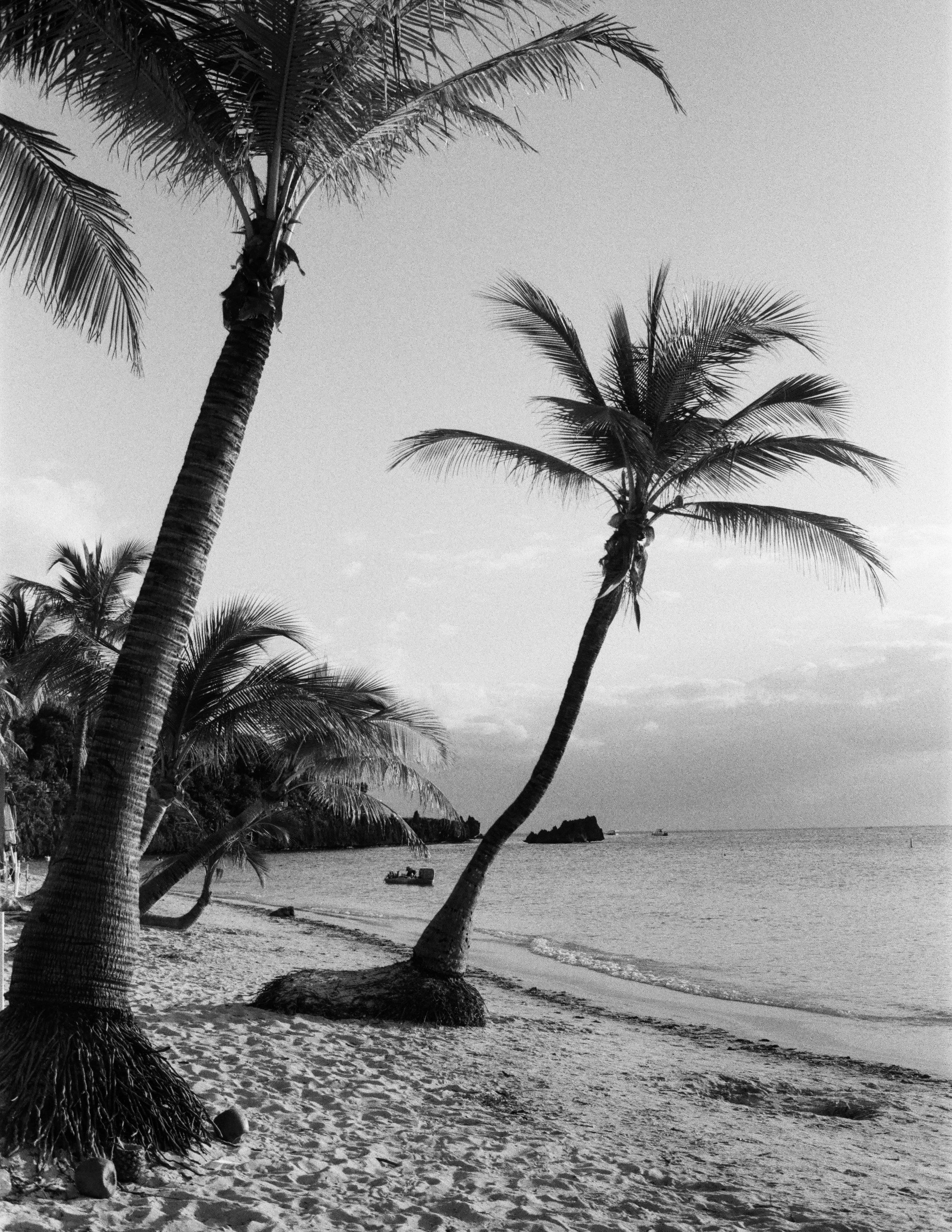 Roatan Website-7.jpg