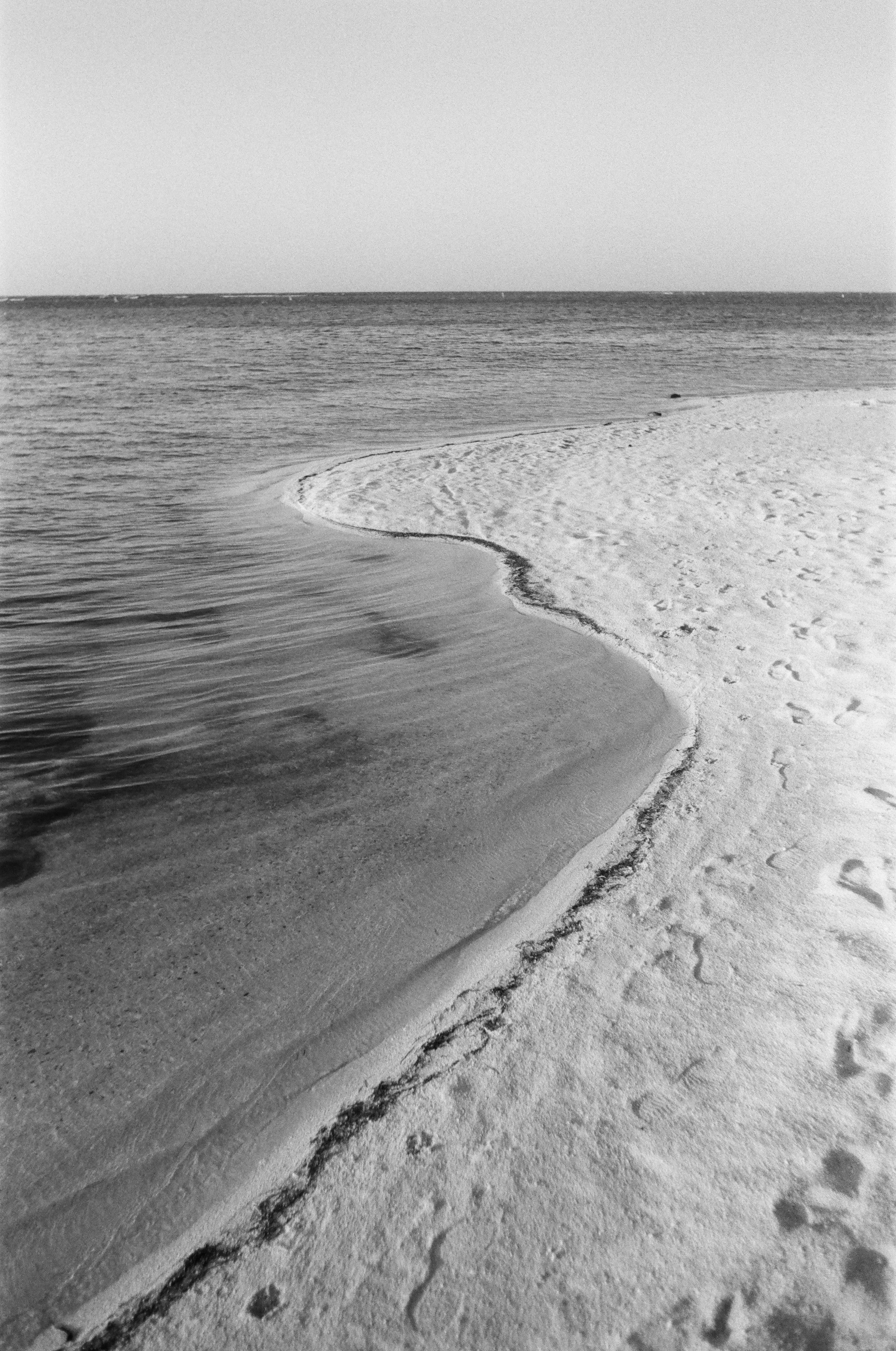 Roatan Website-10.jpg