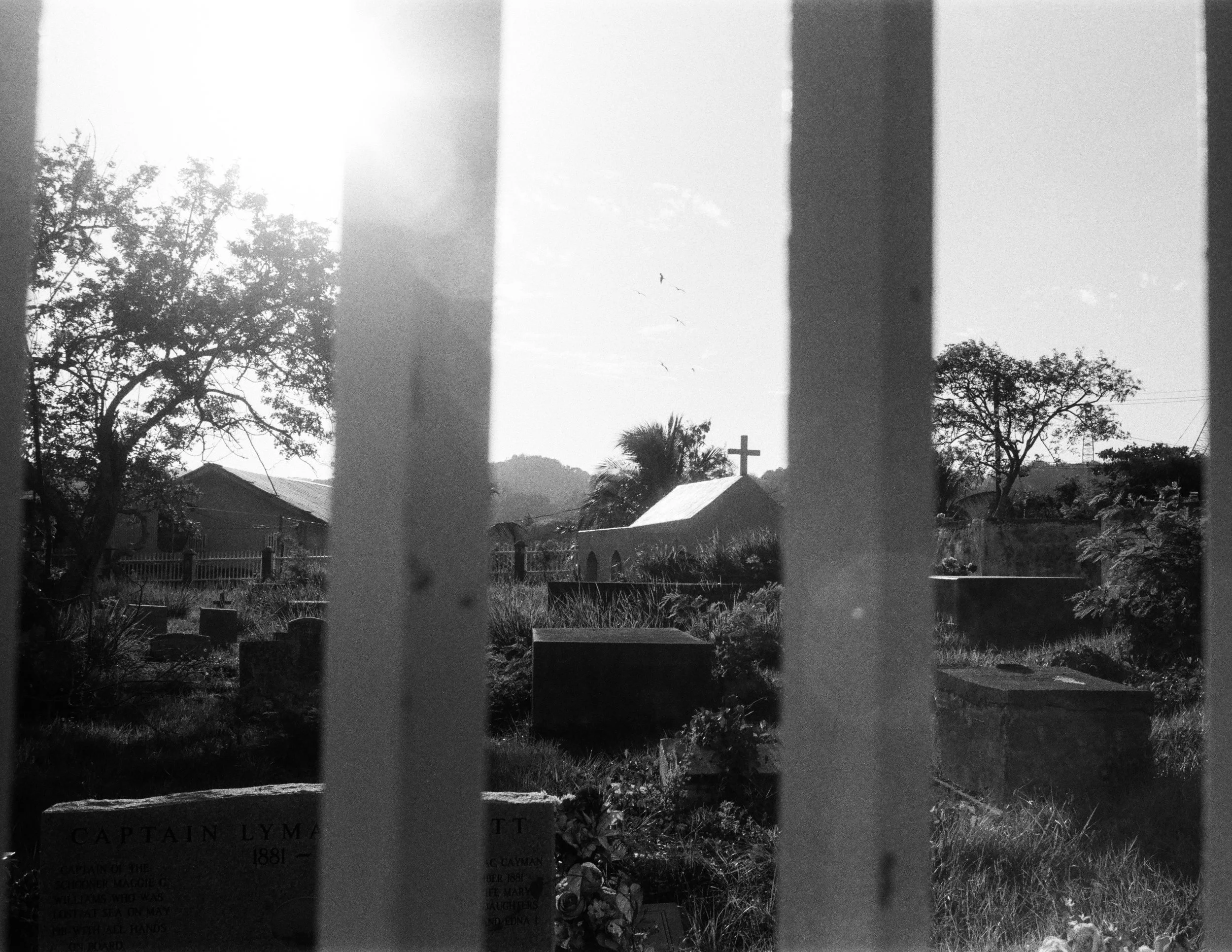 Roatan Website-11.jpg