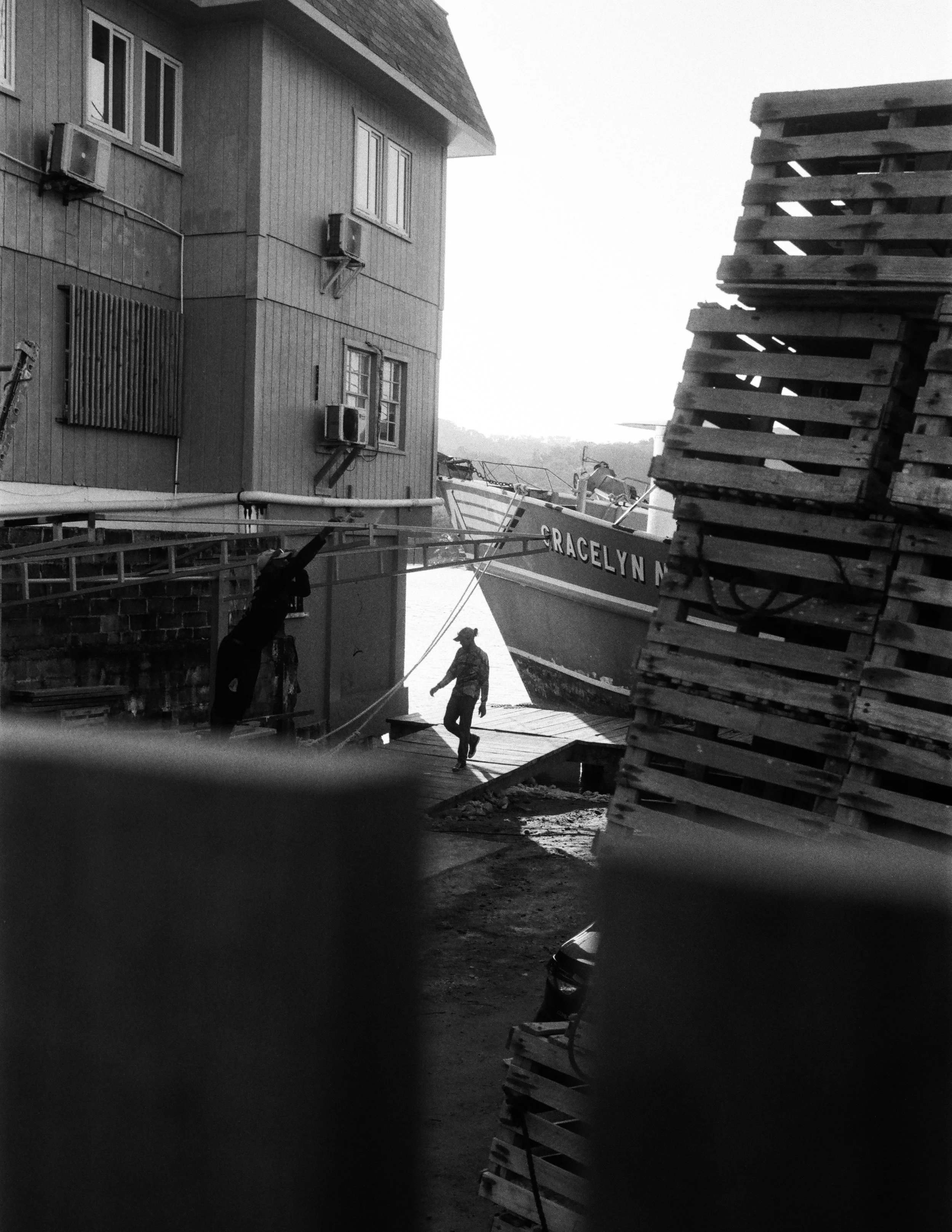 Roatan Website-12.jpg