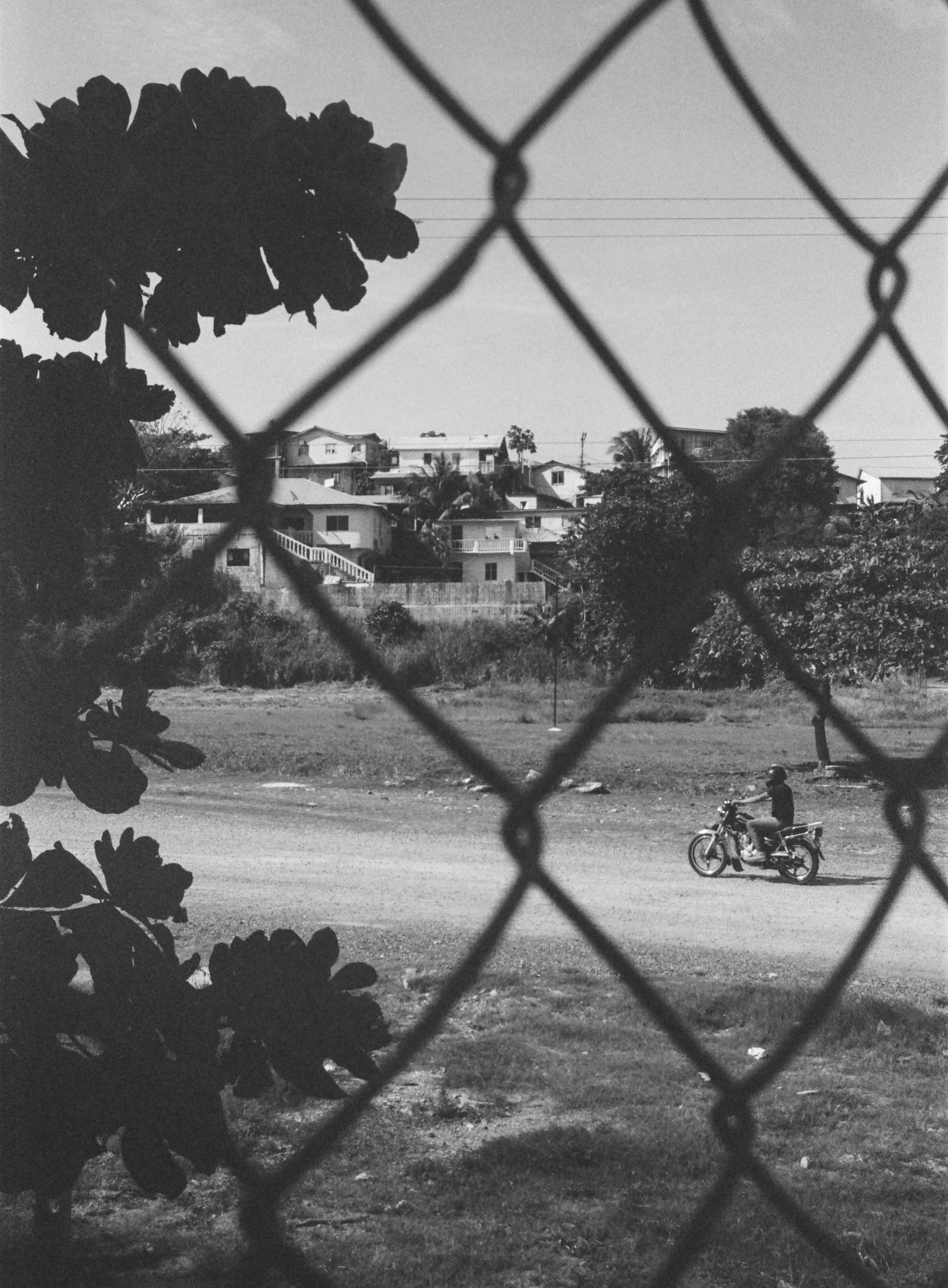 Roatan Website-40.jpg