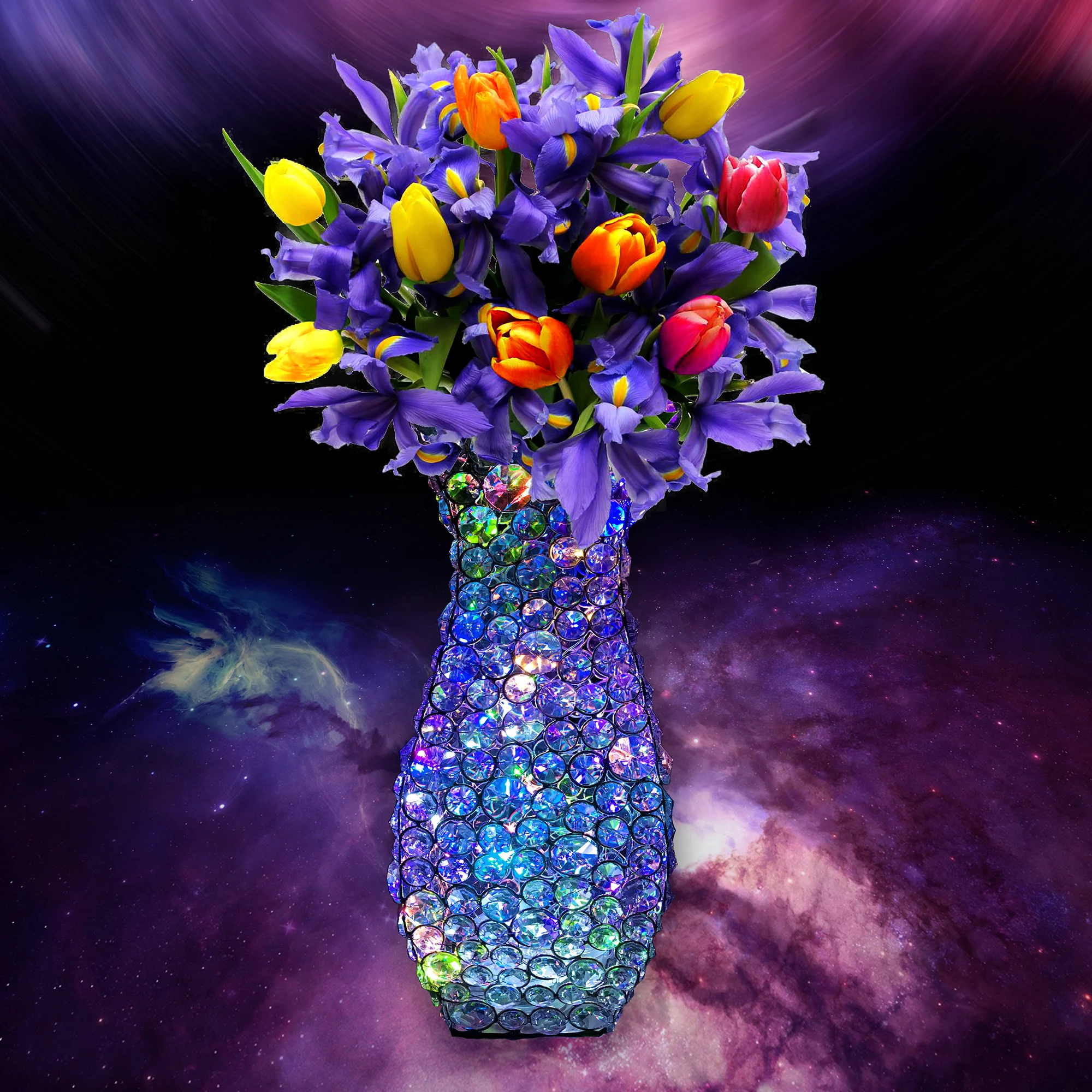 cosmos.jpg