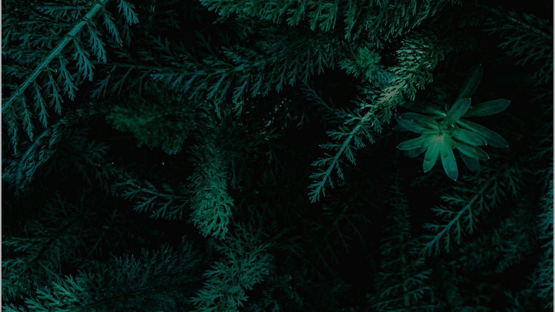 Reserve My Spot!-3.jpg