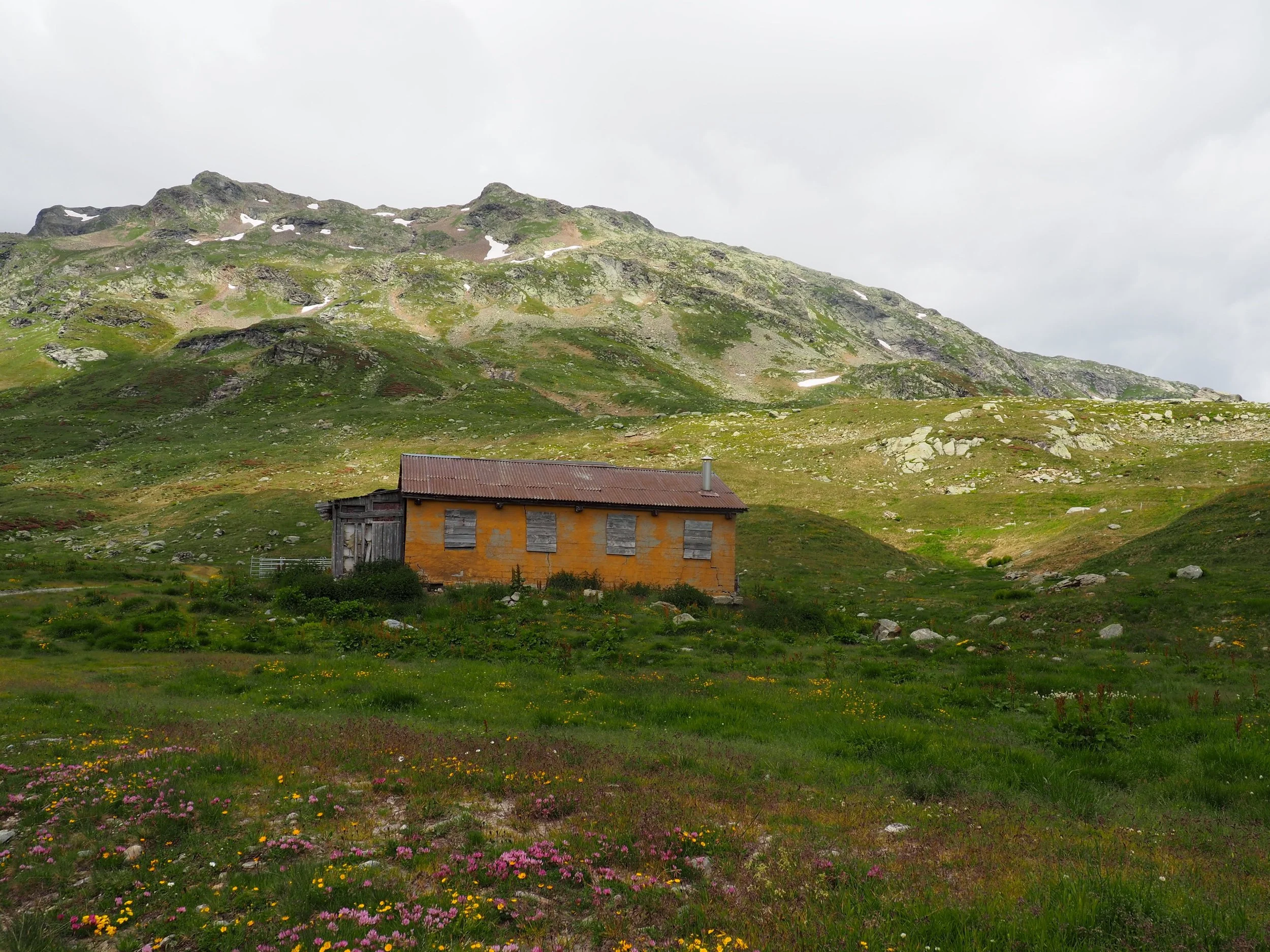monte 8.jpg