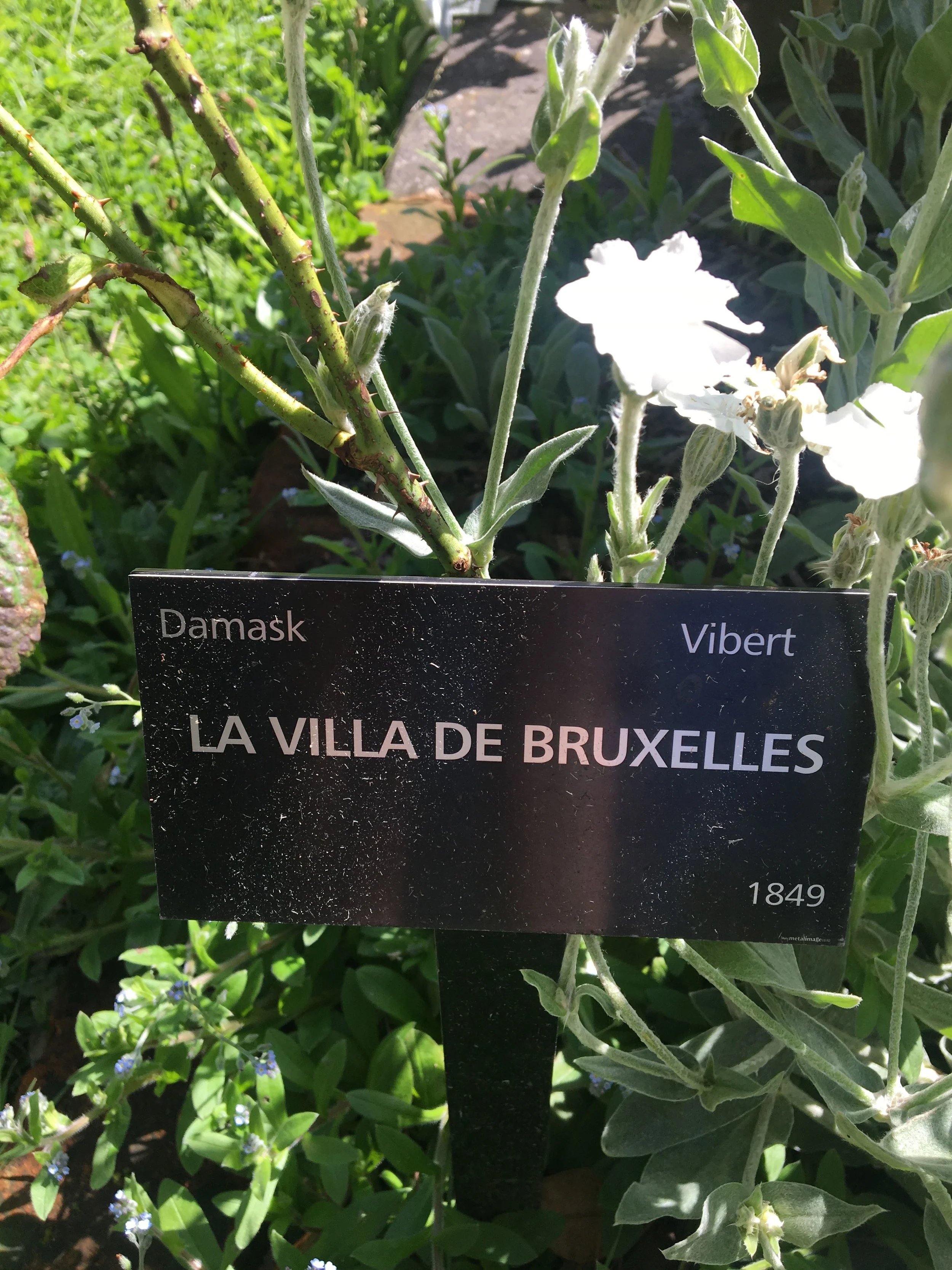 villa .jpg