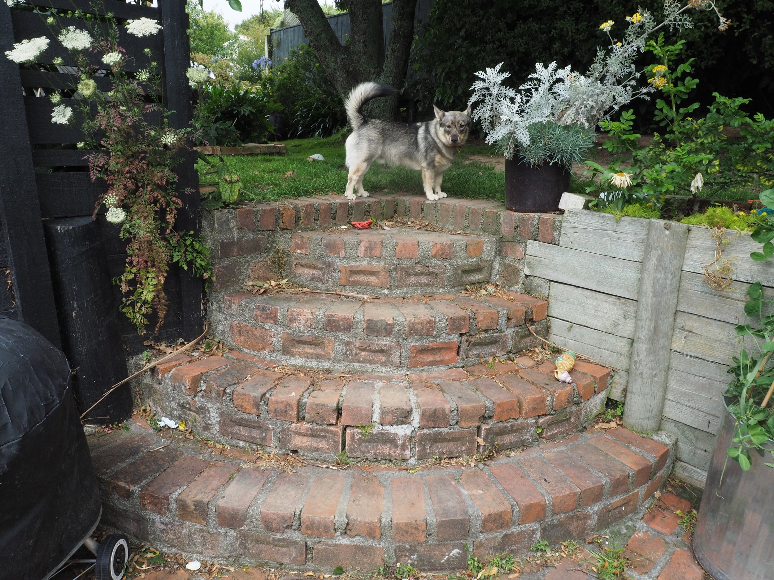 The top steps in the brick courtyard.