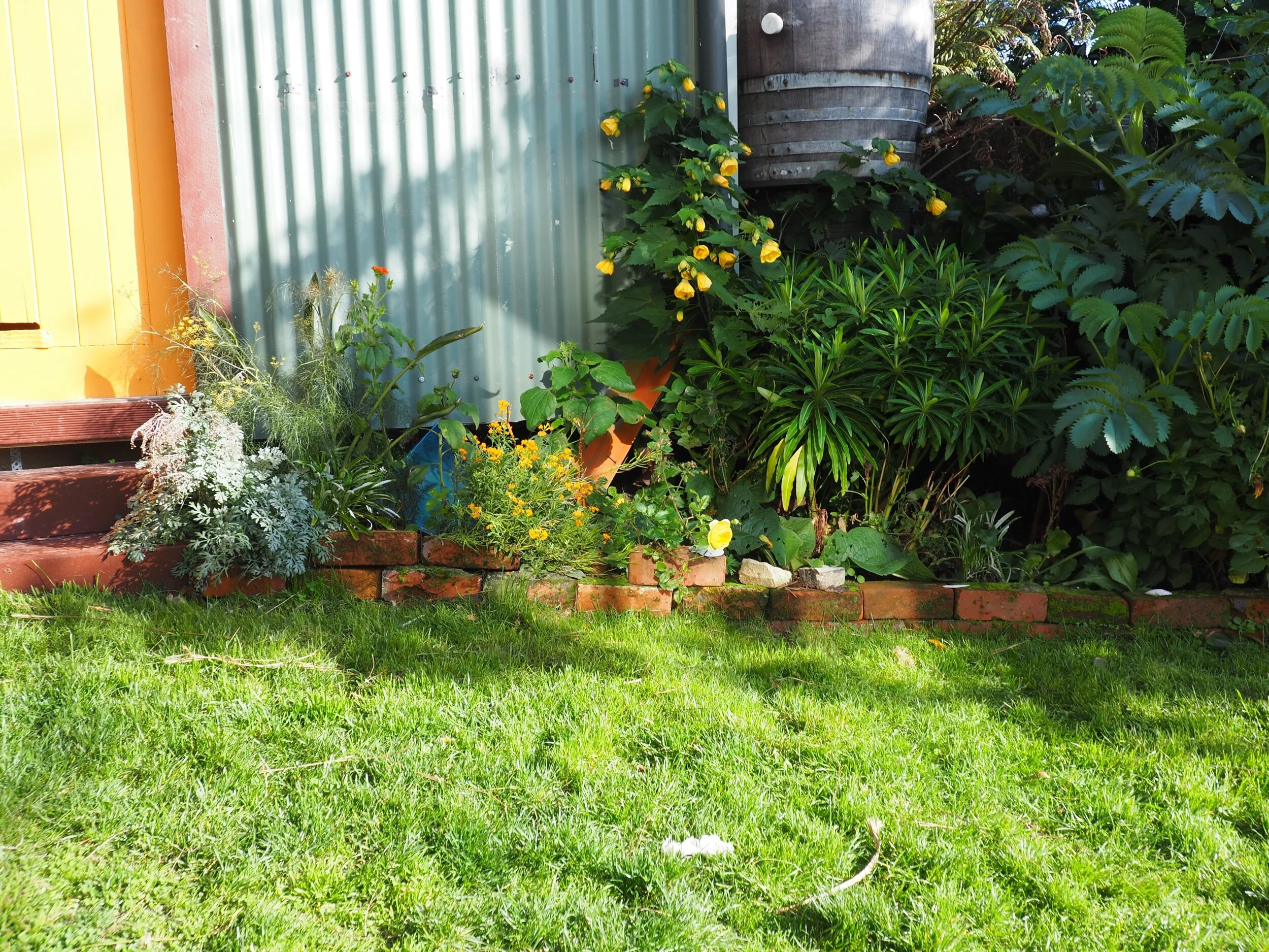 The shed in the front garden.