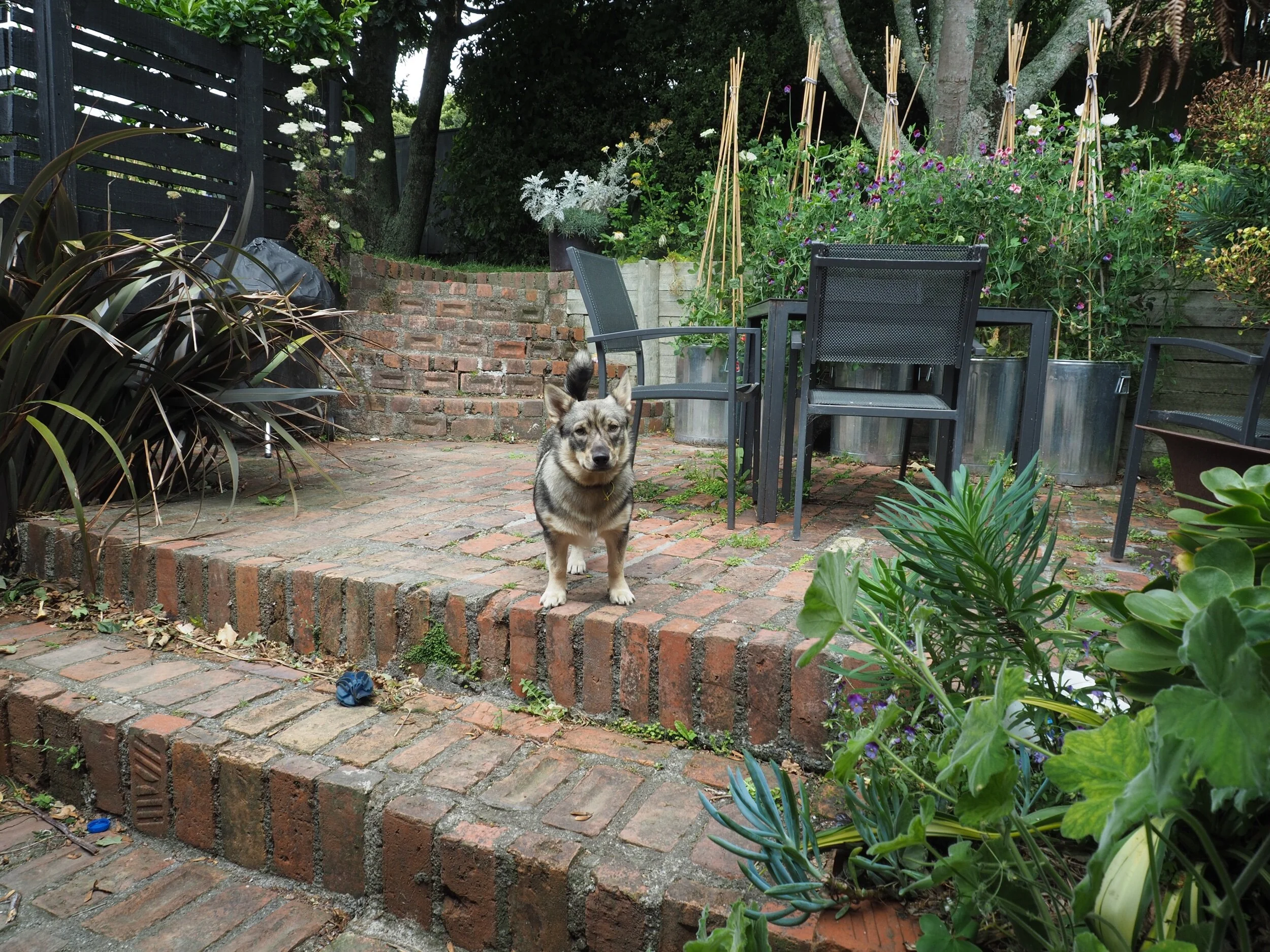 The brick courtyard in summer.