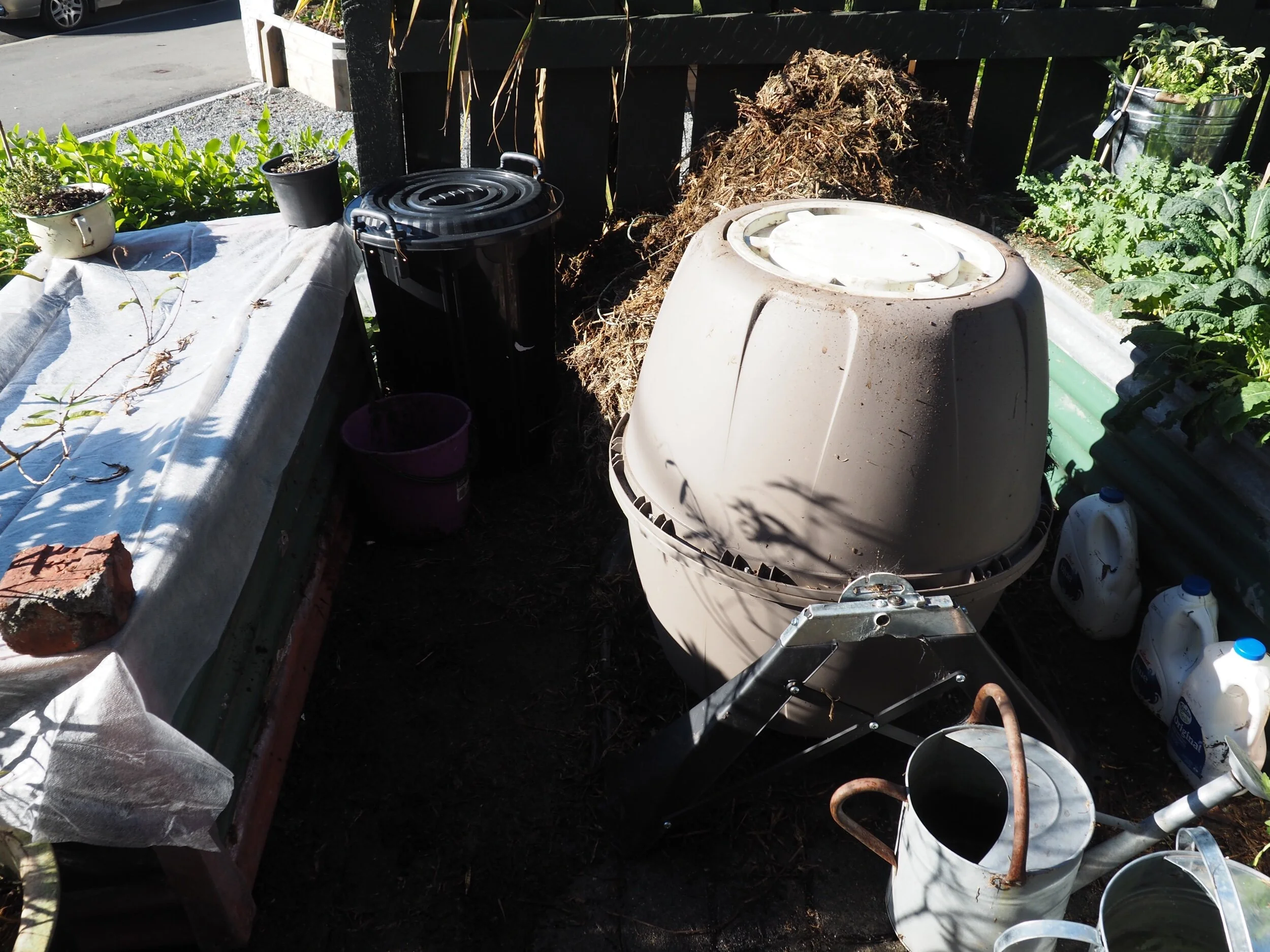 Up against the fence is my new black bucket.