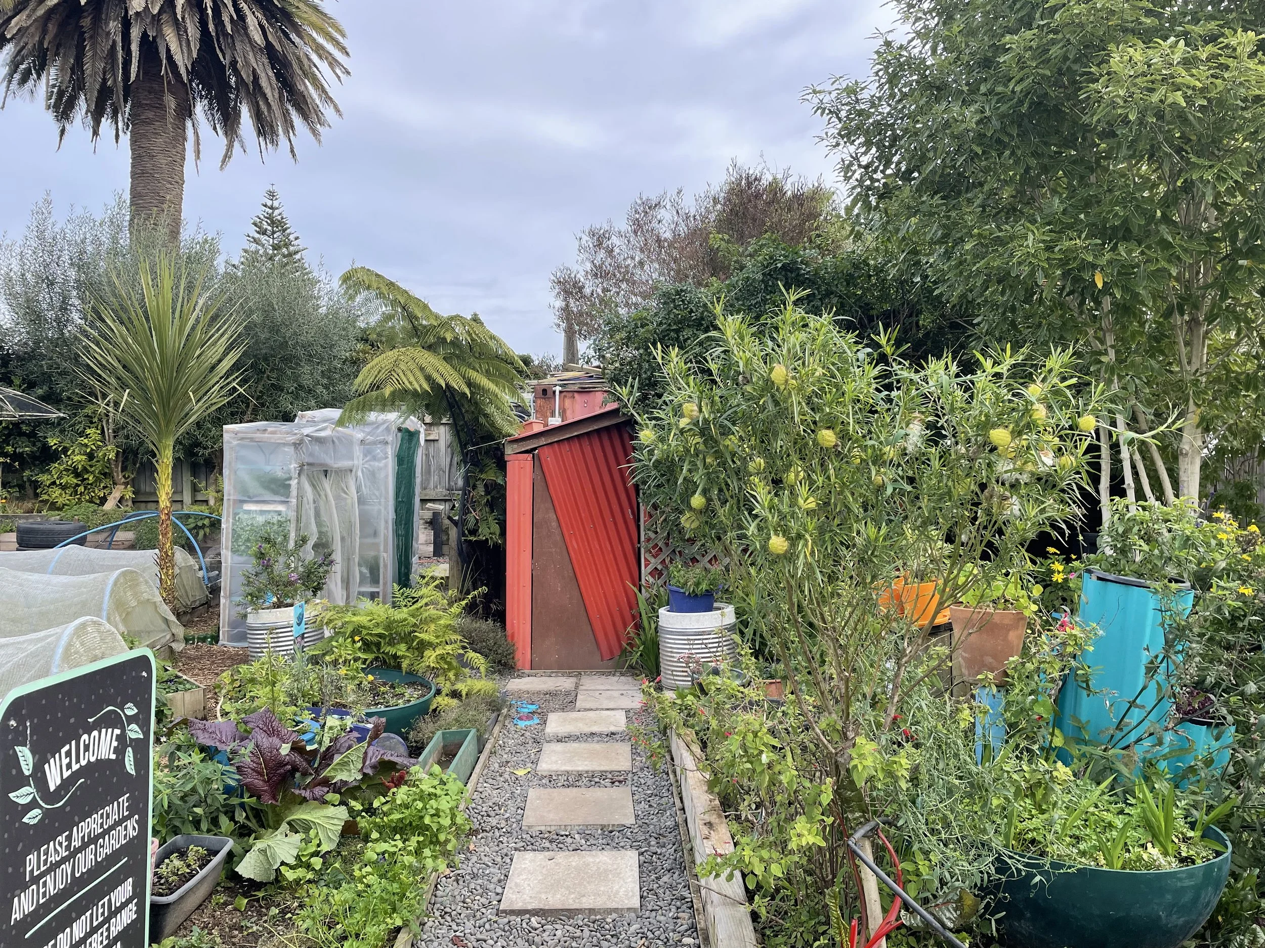 Veggie Garden