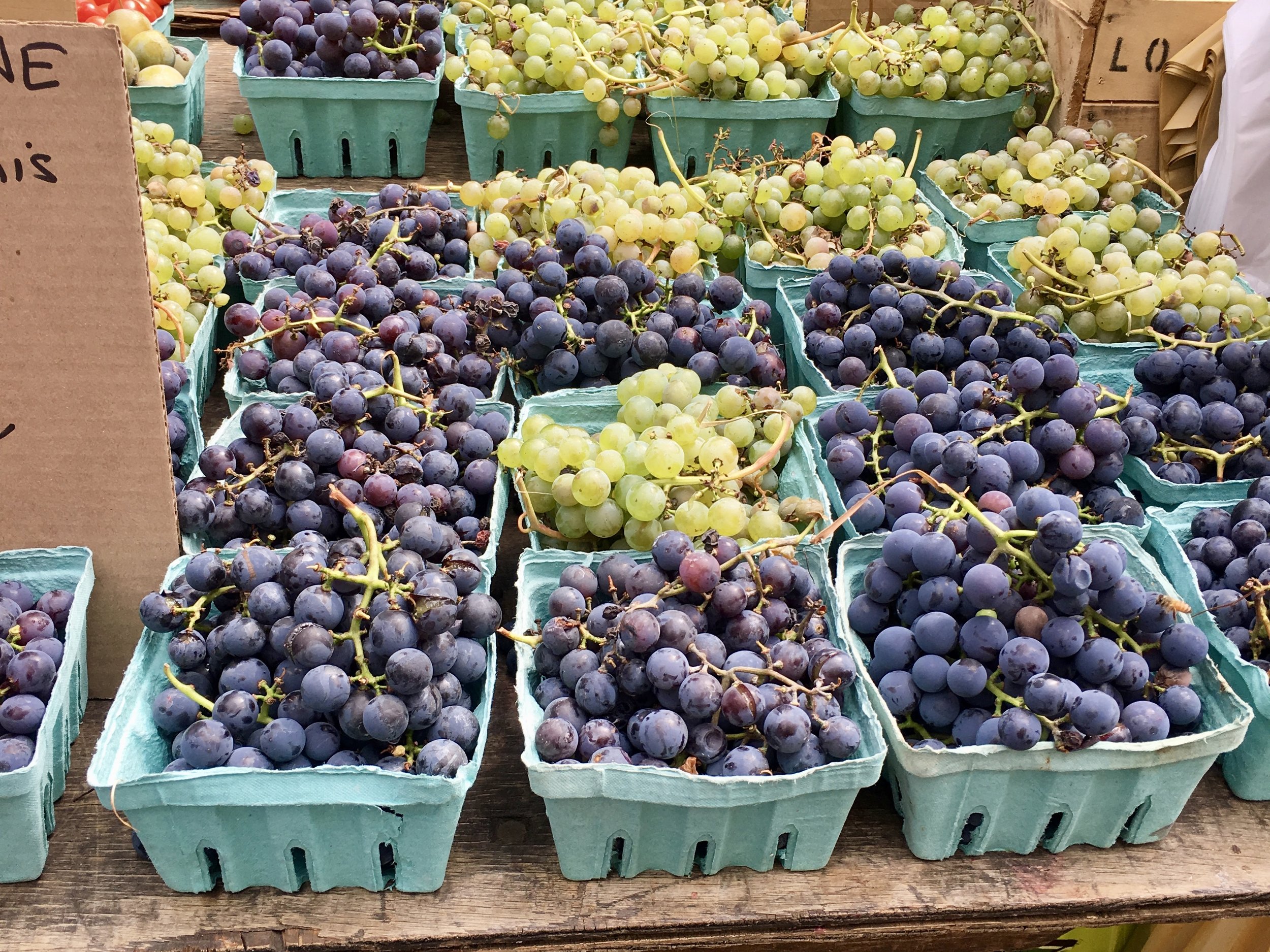 Union Square Green Market, NYC