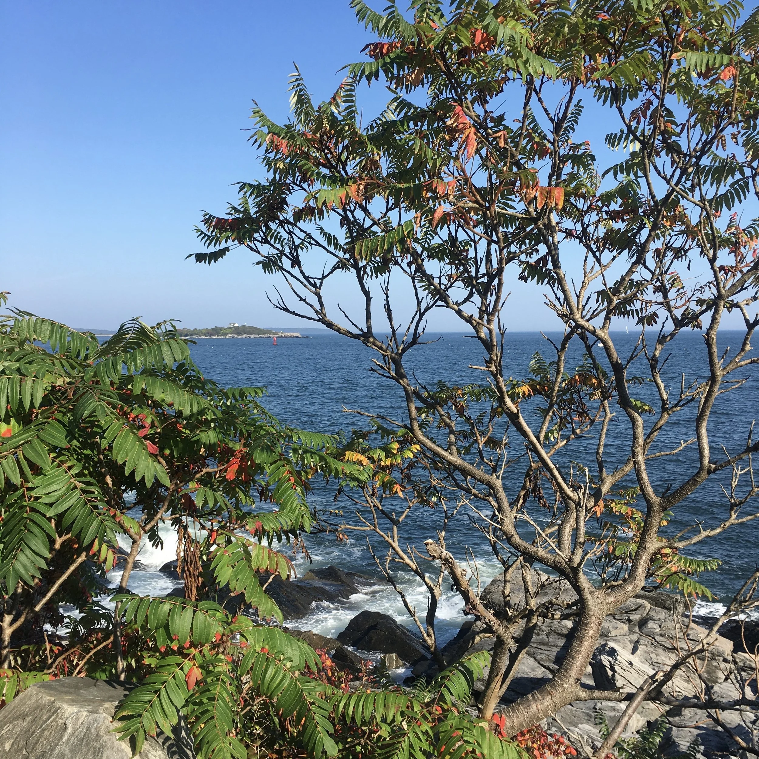 Peaks Island, Maine