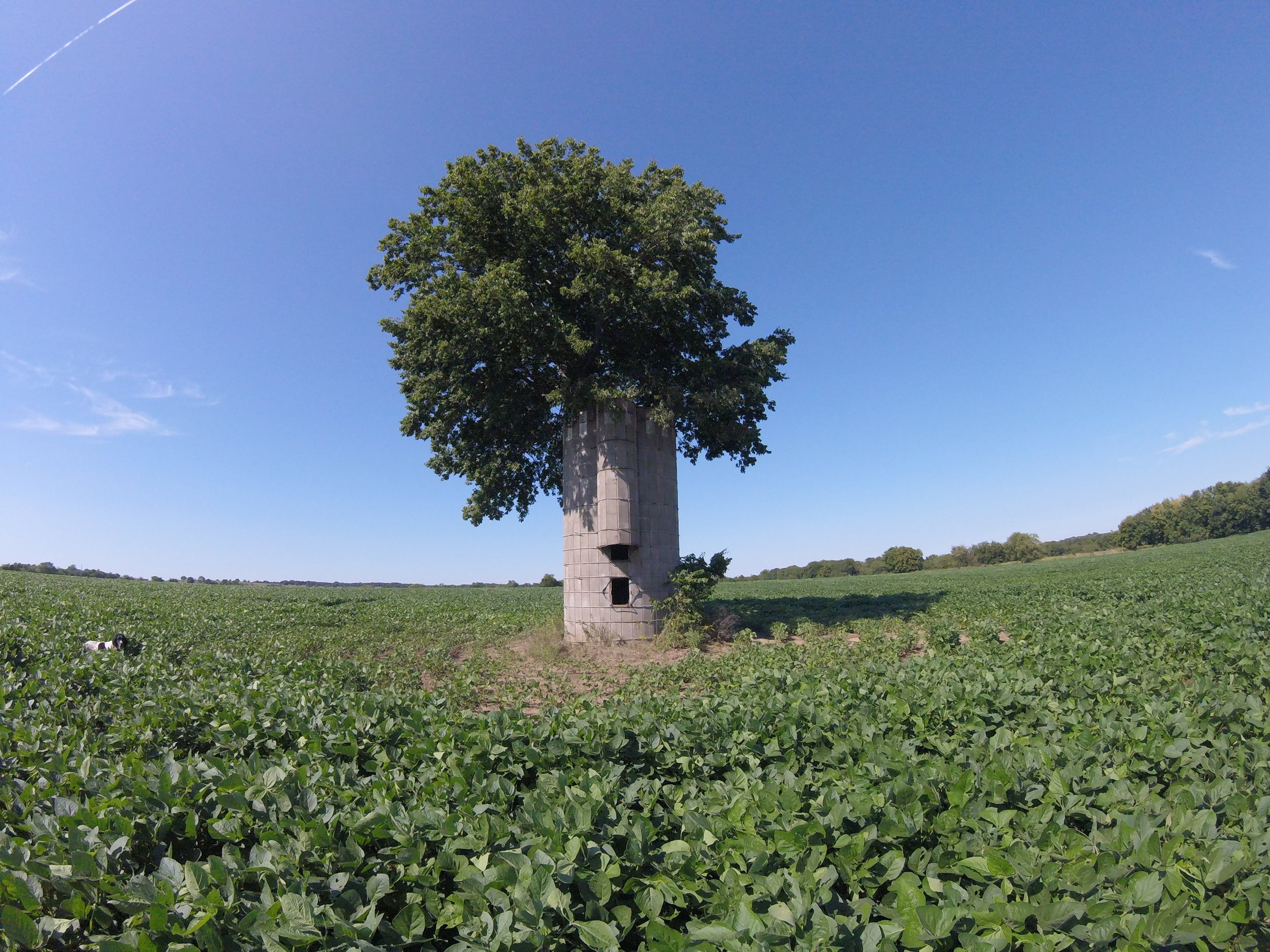 G0925436.JPG