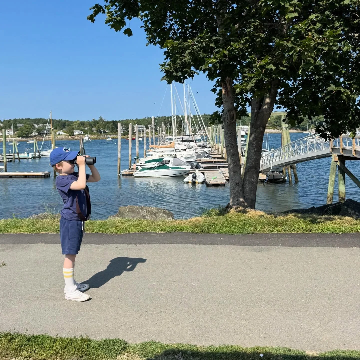 Looking ahead to a big year, but this last one was ok too