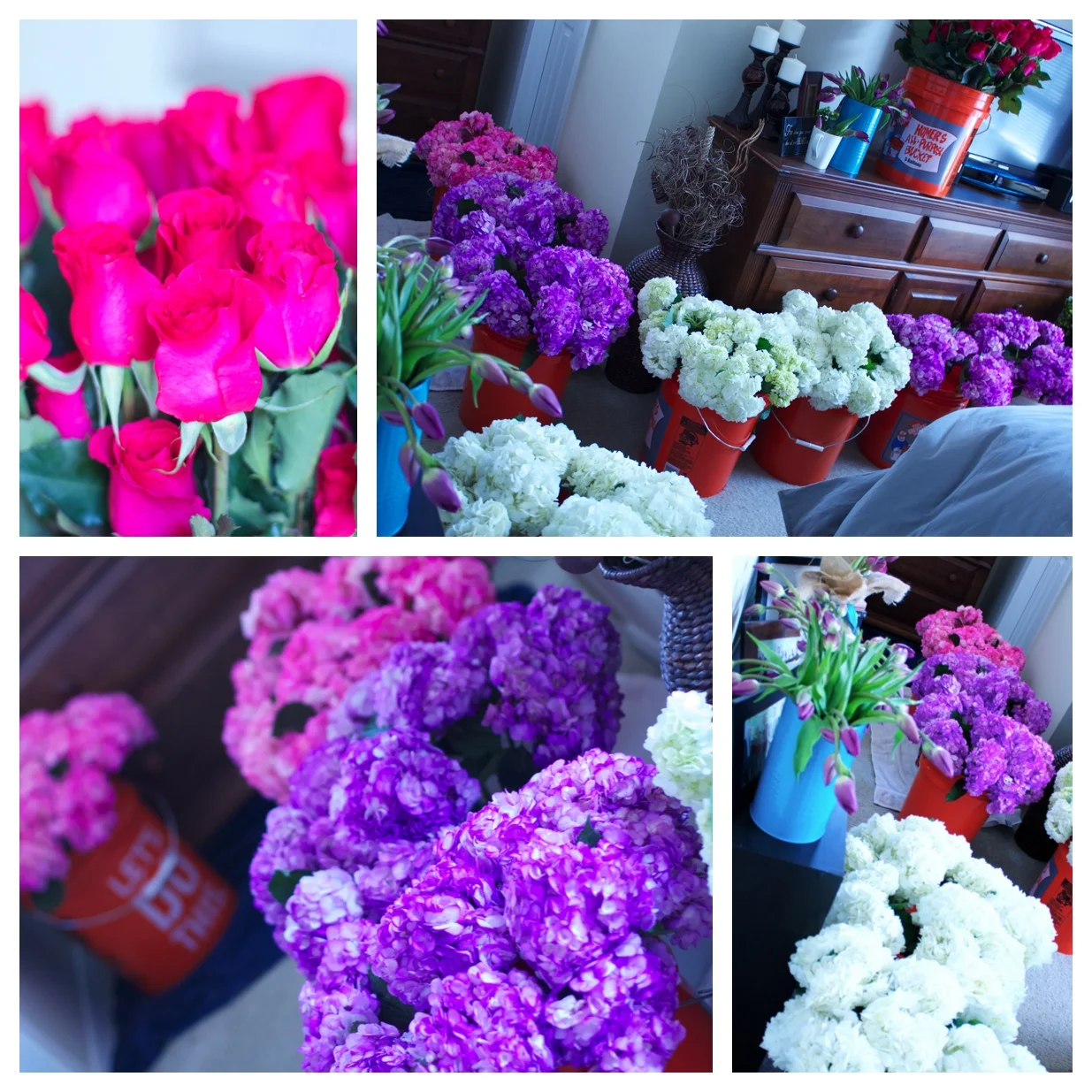 Oh my word our tiny apartment was busting with flowers! (did I mention my hubby's allergic? oops!)