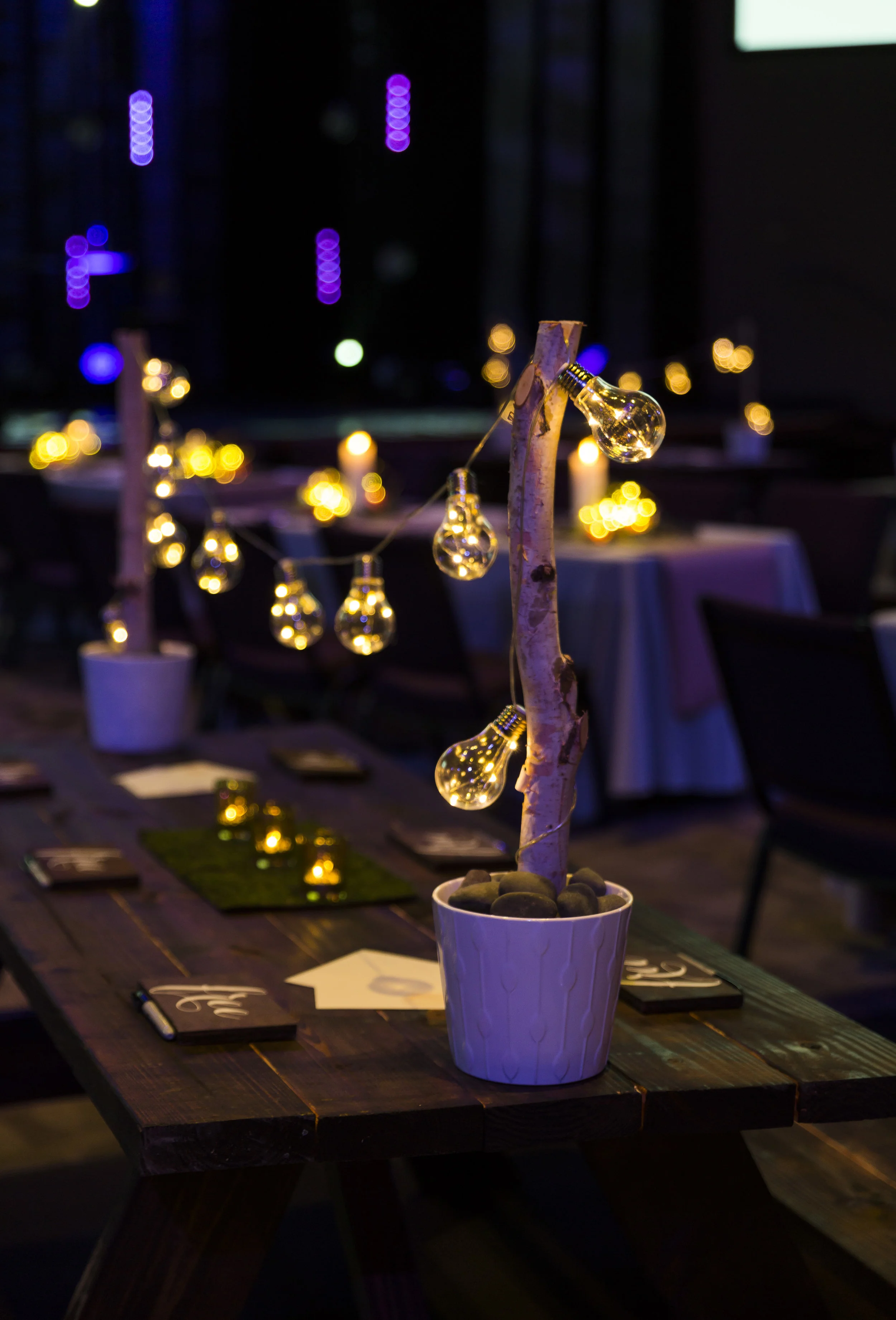 picnic-table-decor-string-lights.jpg