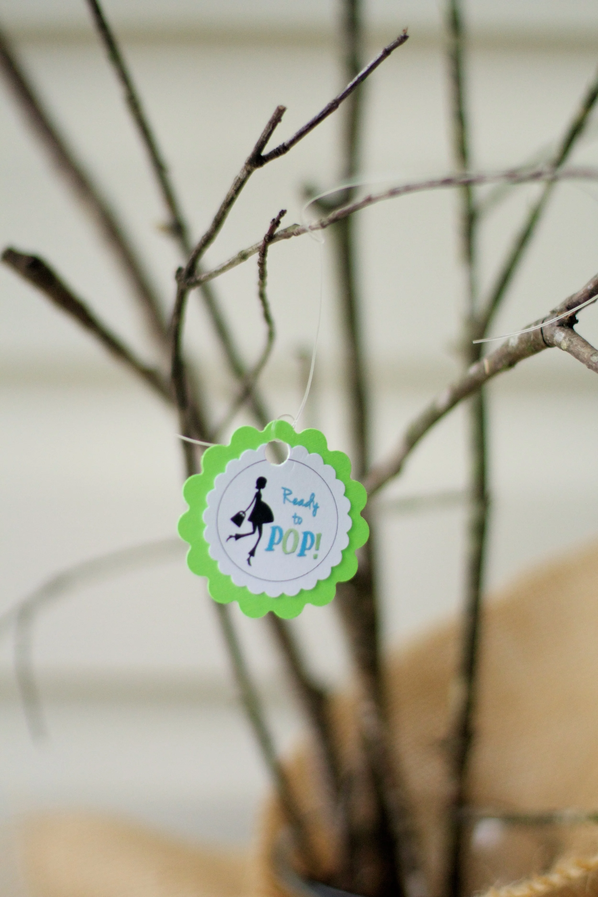 Ready To Pop Baby Shower Sweetwood Creative Co Atlanta Wedding