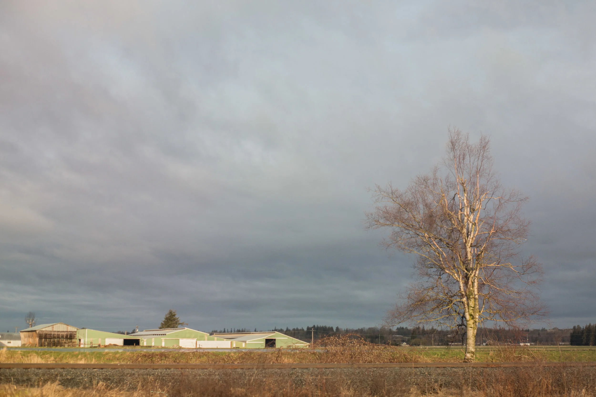  A little golden morning light.&nbsp; 