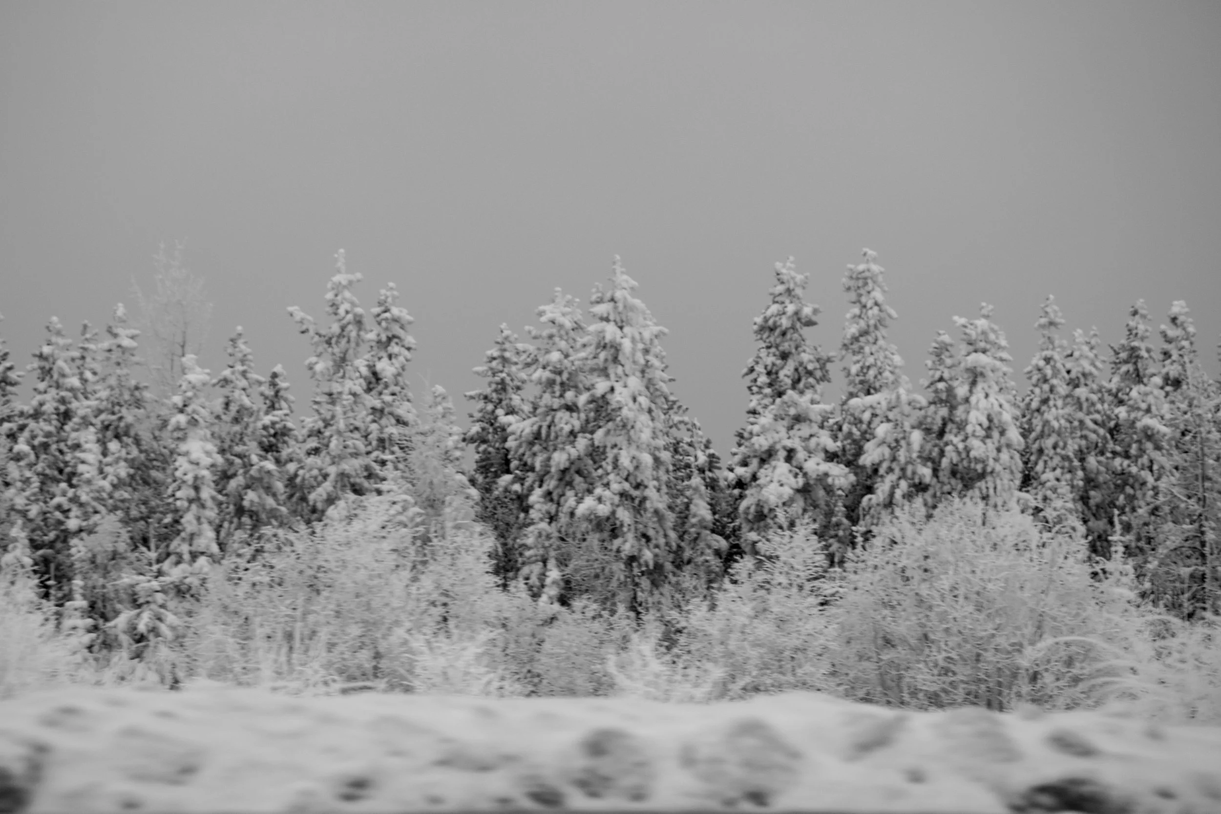  This is reminiscent of all our family trips through the ALCAN in winter months. 