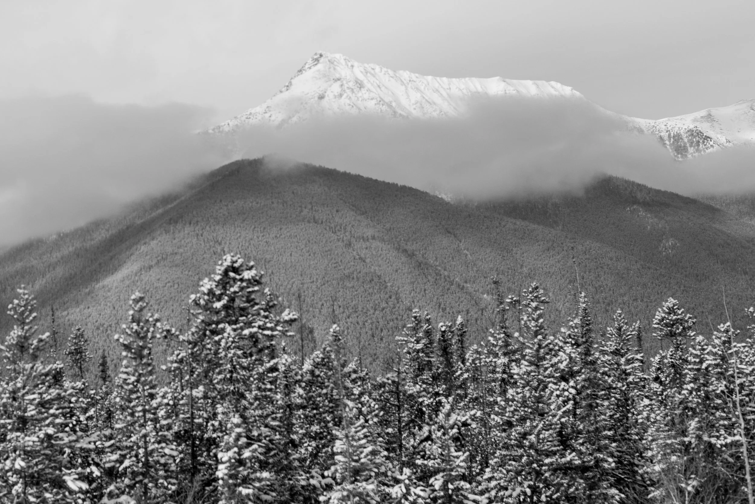 alaska_trip-46.jpg