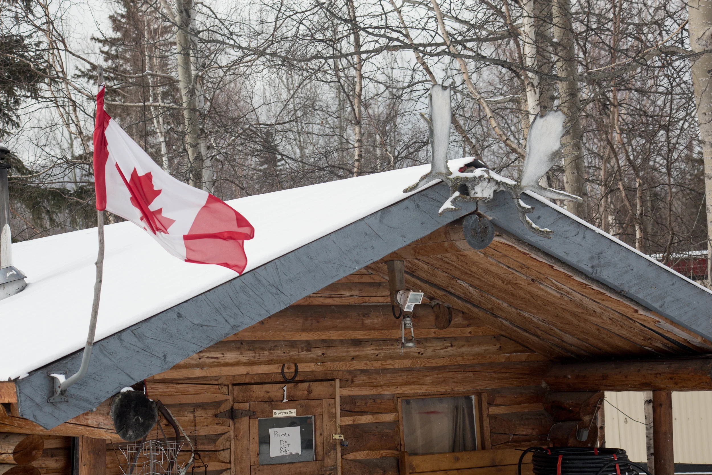  I couldn't leave Canada without getting the flag and some antlers. 