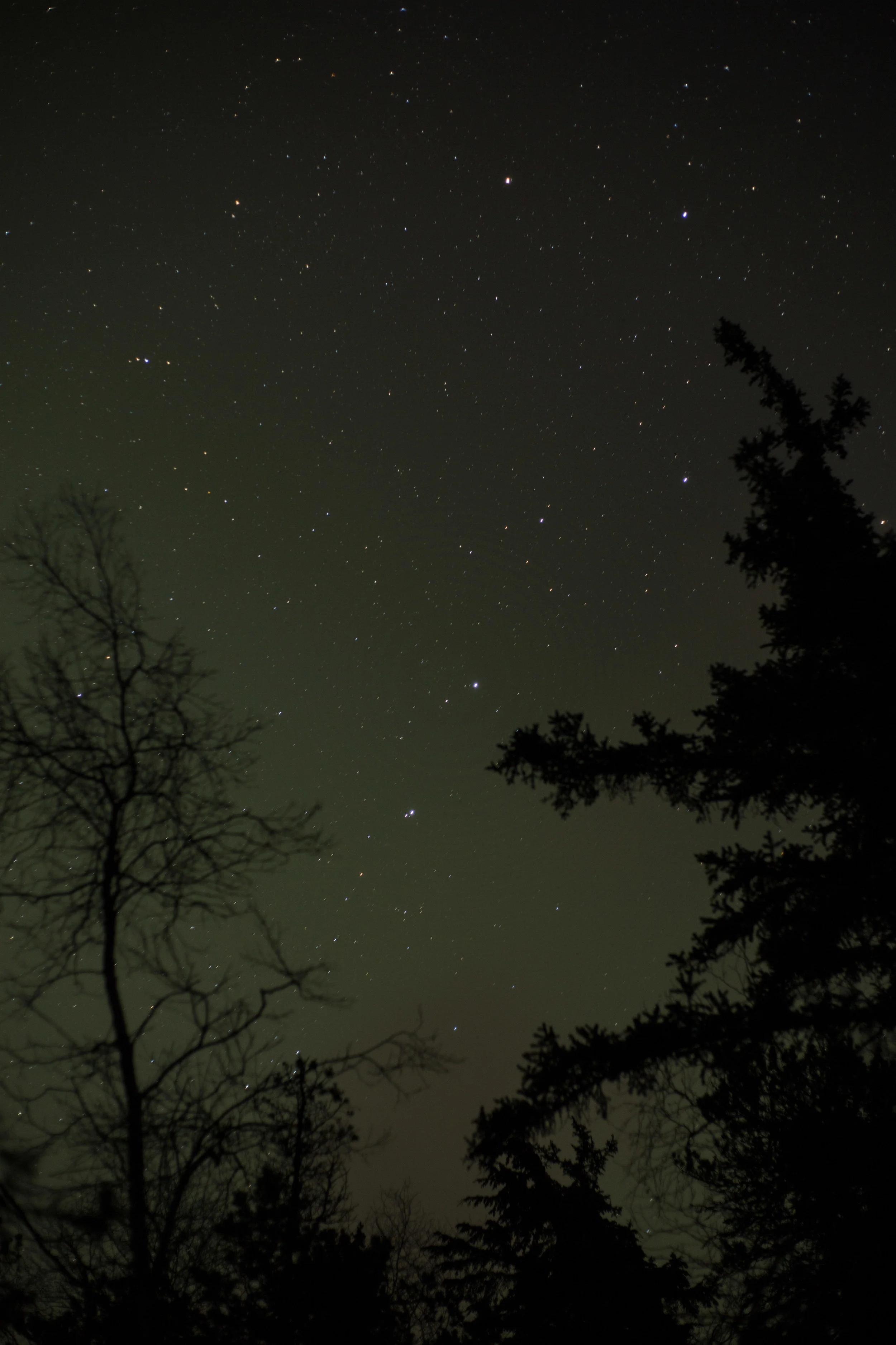 _I9A0047-2.jpg
