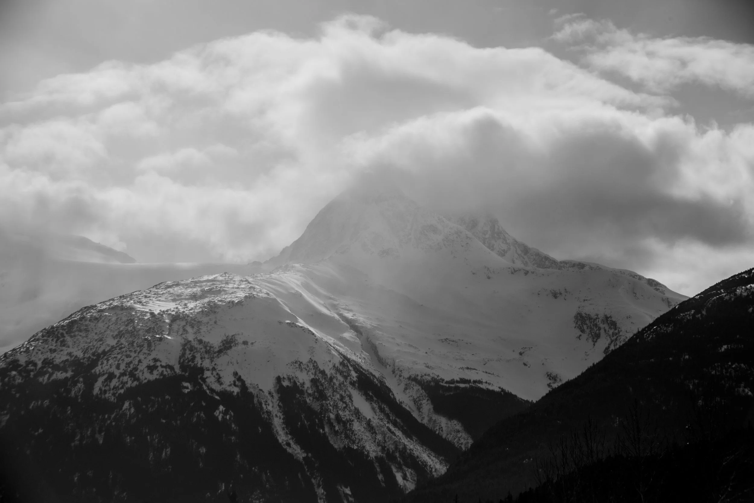 _I9A0837.jpg