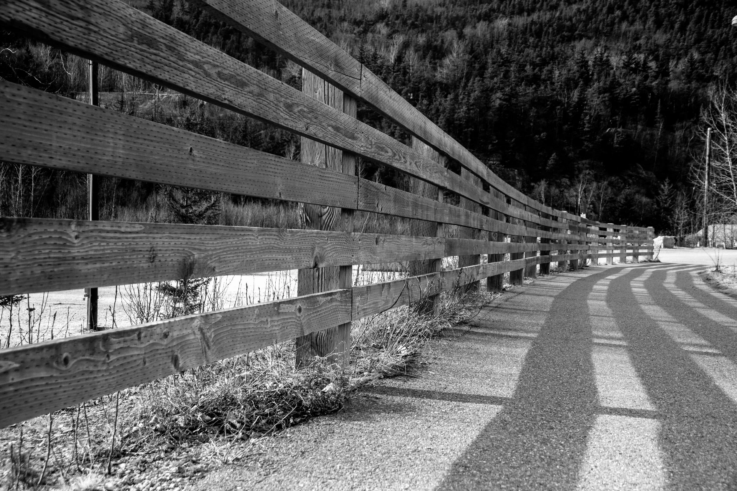 _I9A0855.jpg