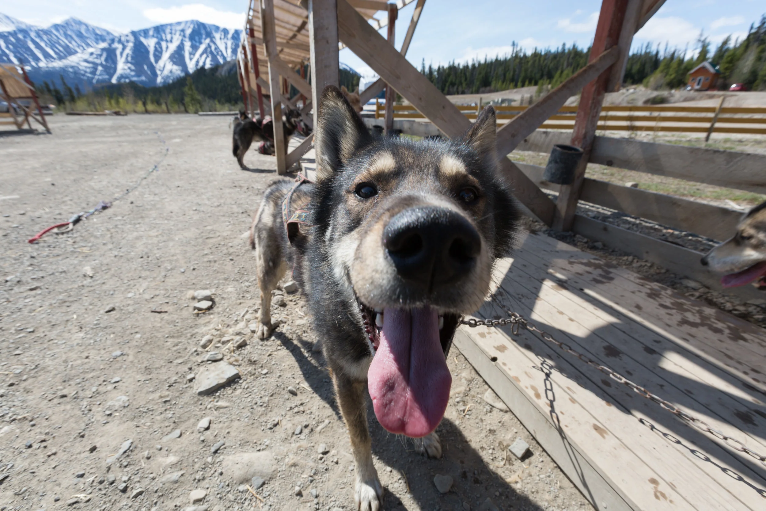Klondike Tours-9203.jpg