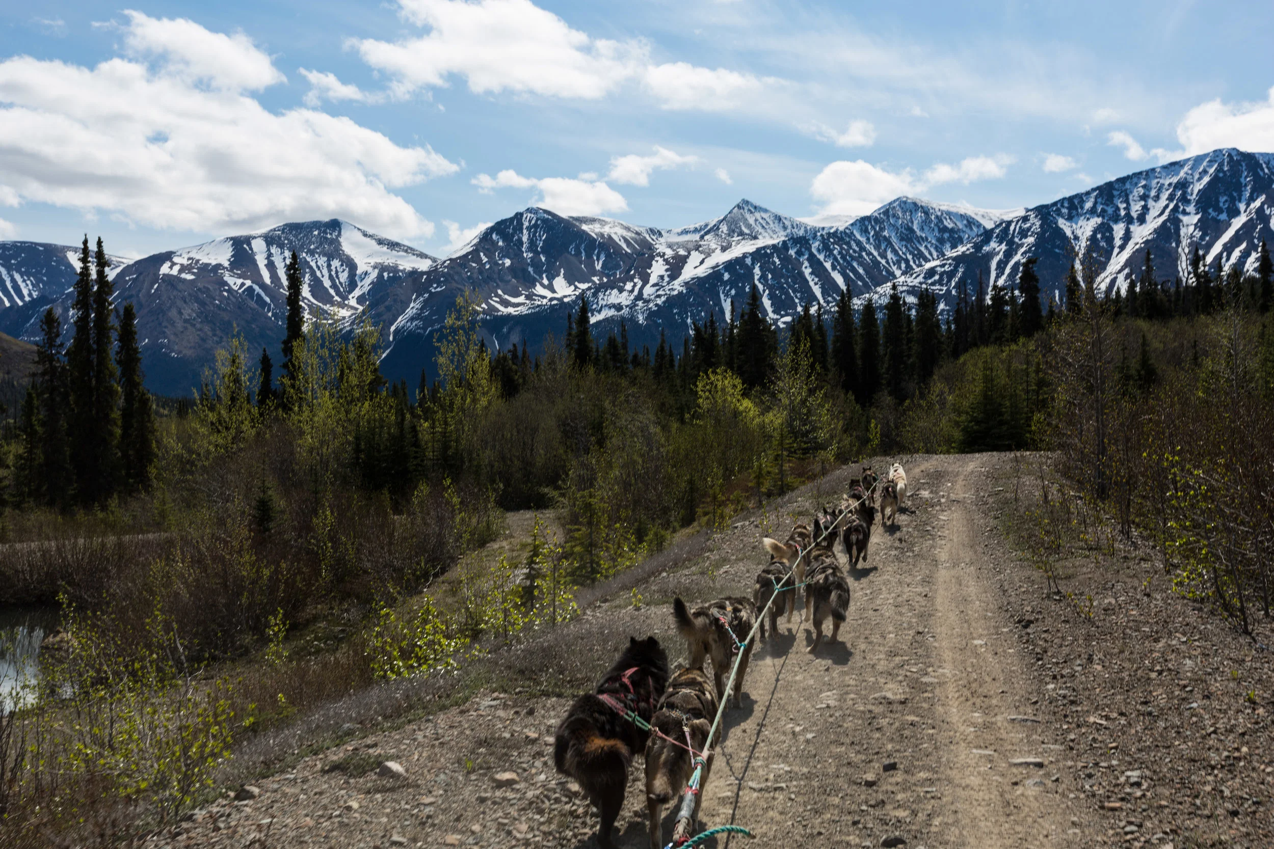 Klondike Tours-9335.jpg