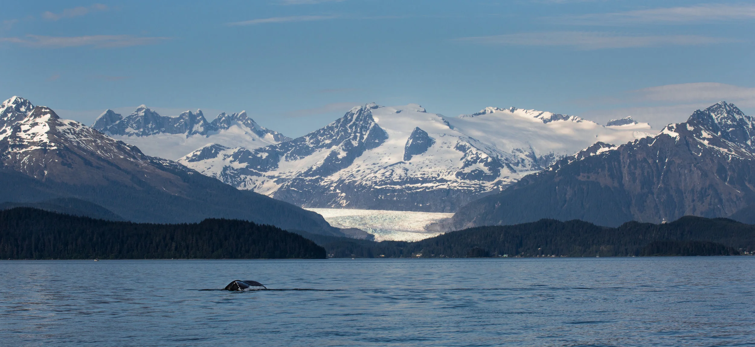 Juneau-1.jpg