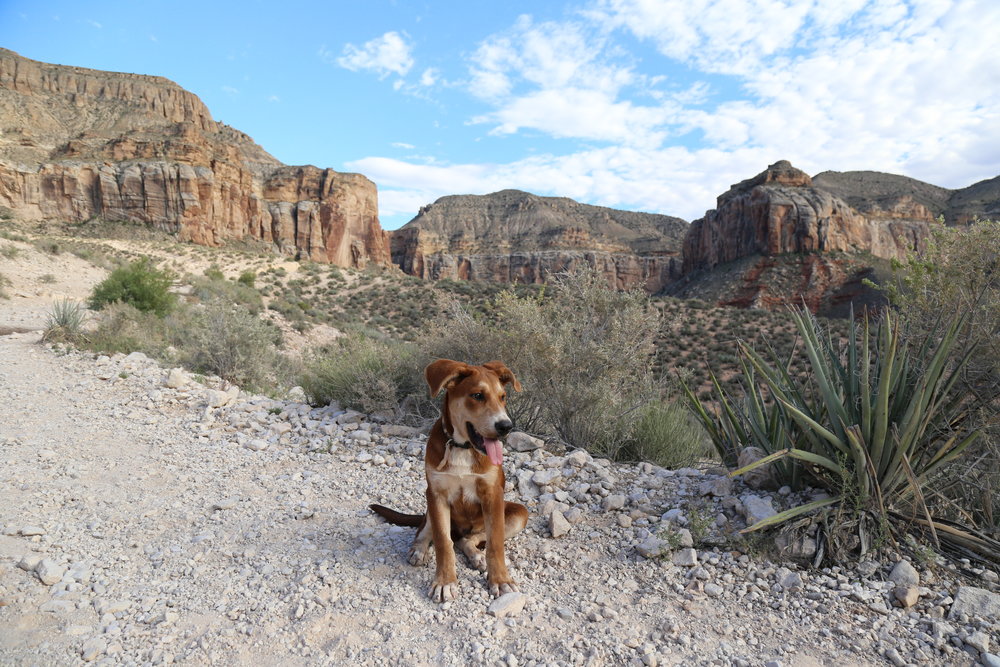 Hiking from Hualapai Hilltop to Supai Village