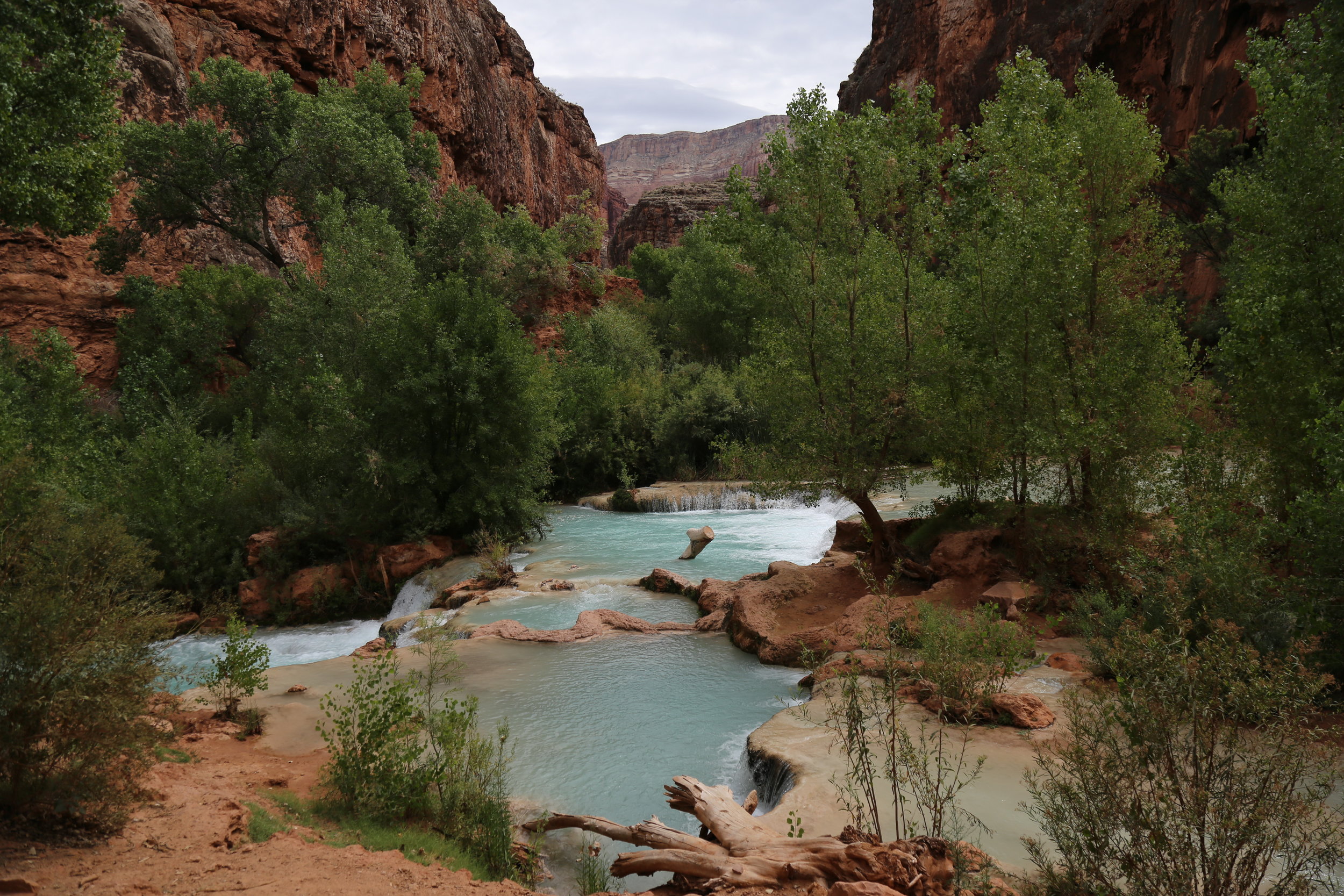 Havasu Falls