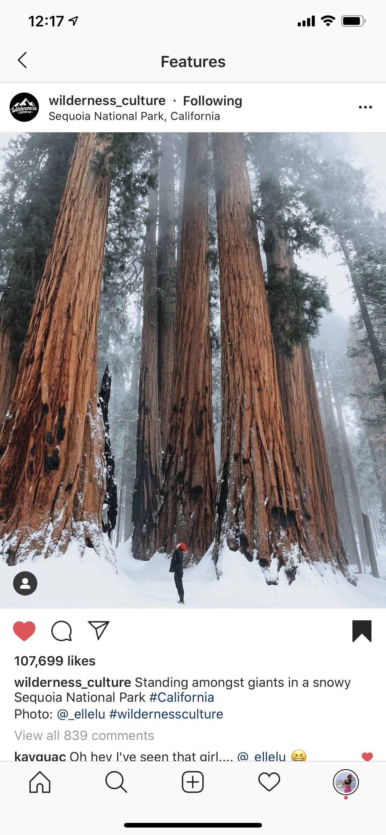 Wilderness Culture