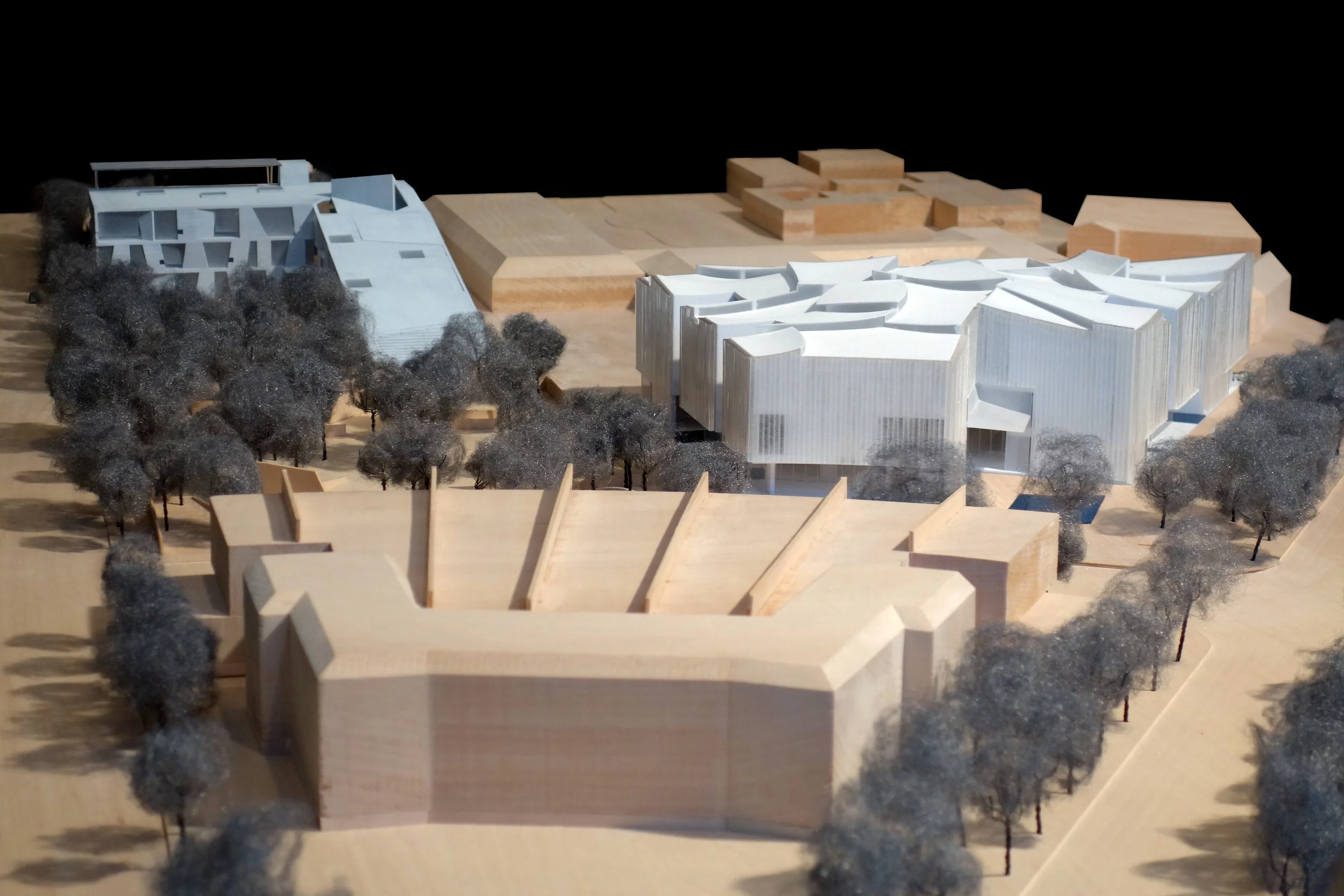 MFAH Campus Model