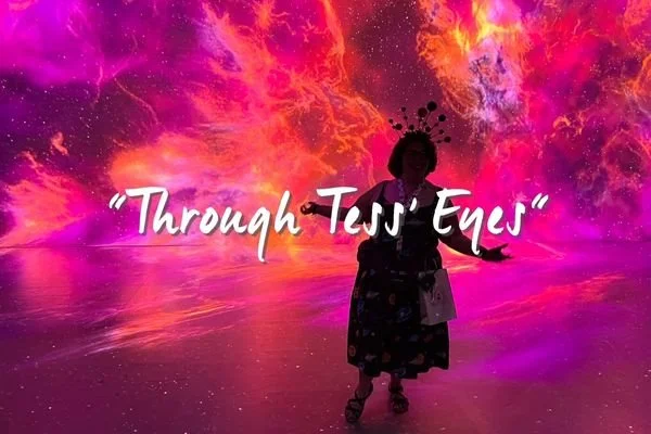 The Power of Gratitude