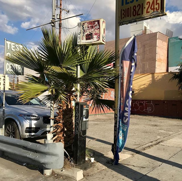 #ladeadphone #losangeles #venicebeach #lincolnblvd