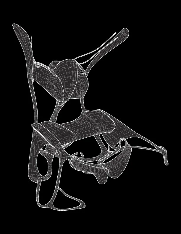 chair-o2-drawing-a.jpg