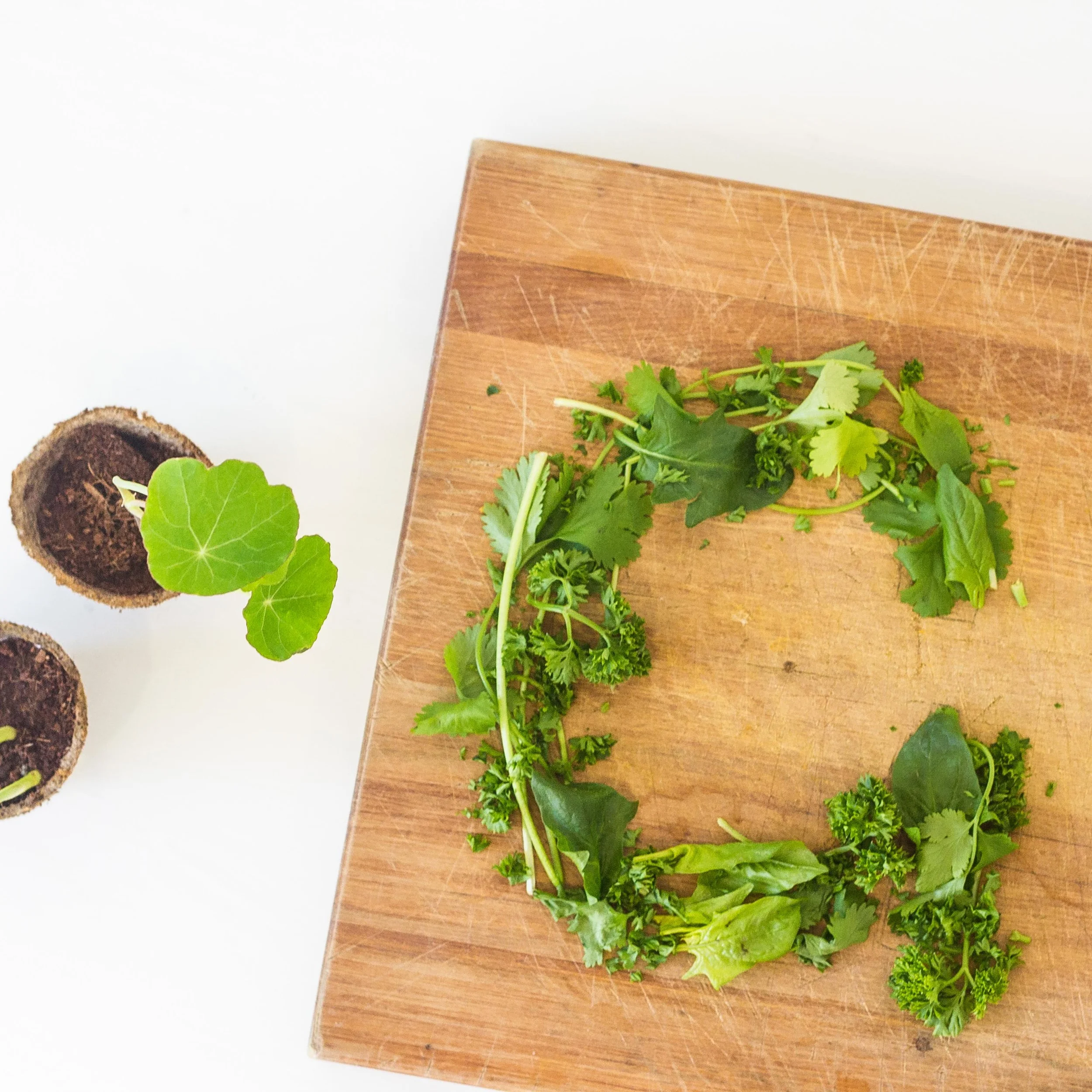 G for Greens. Photography.