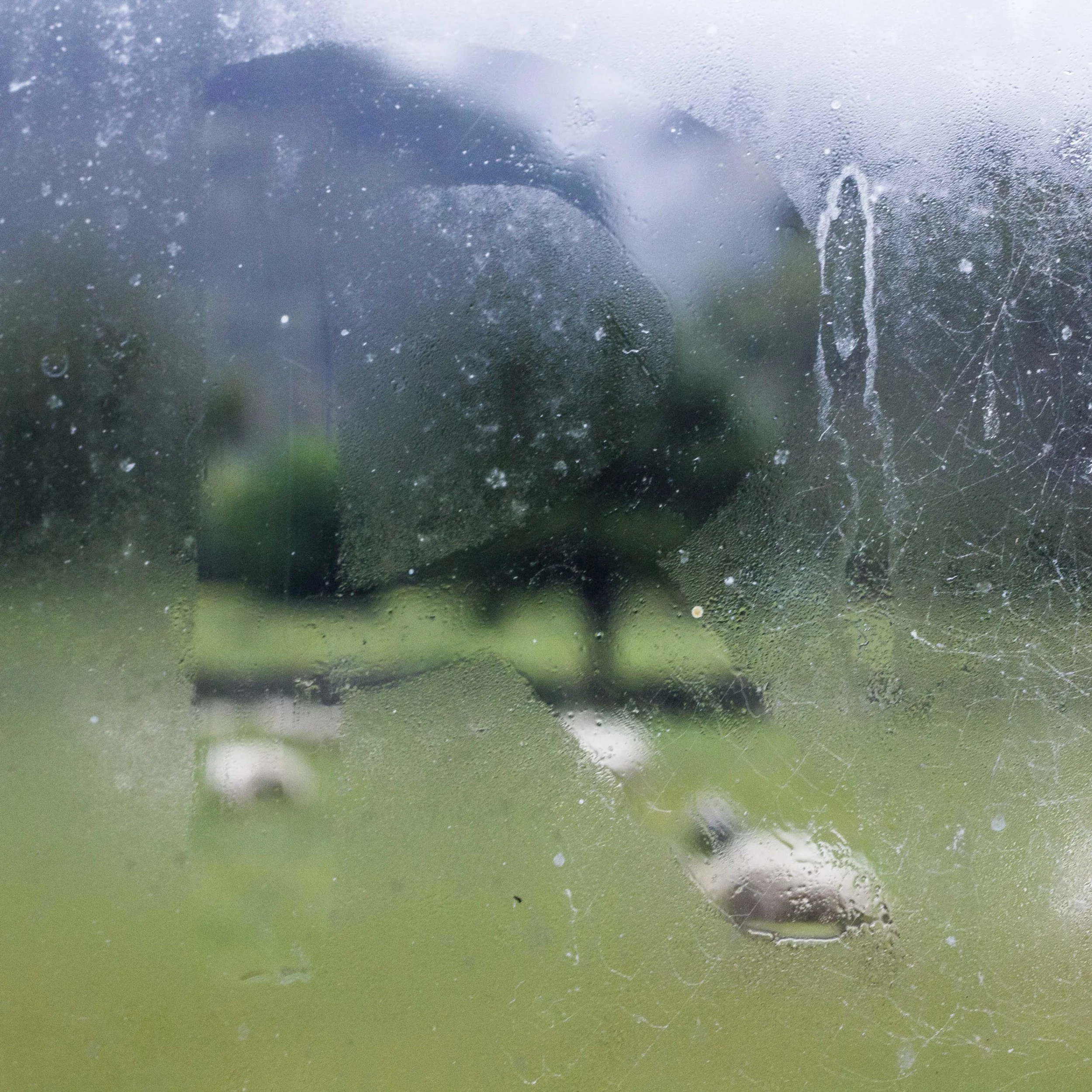 R for Rain. Photography.