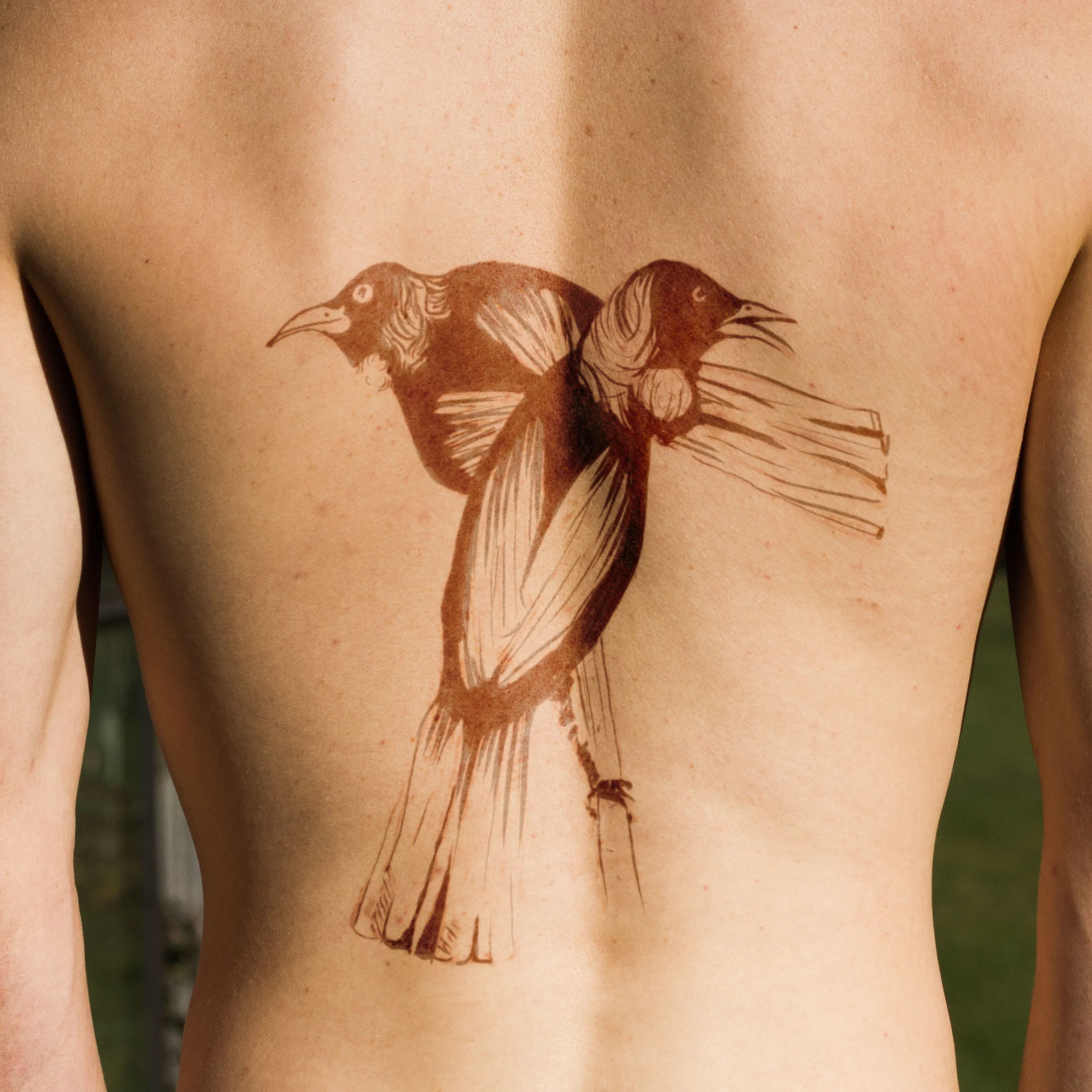 T for Two Tattooed Tuis. Henna on Skin, Photography.